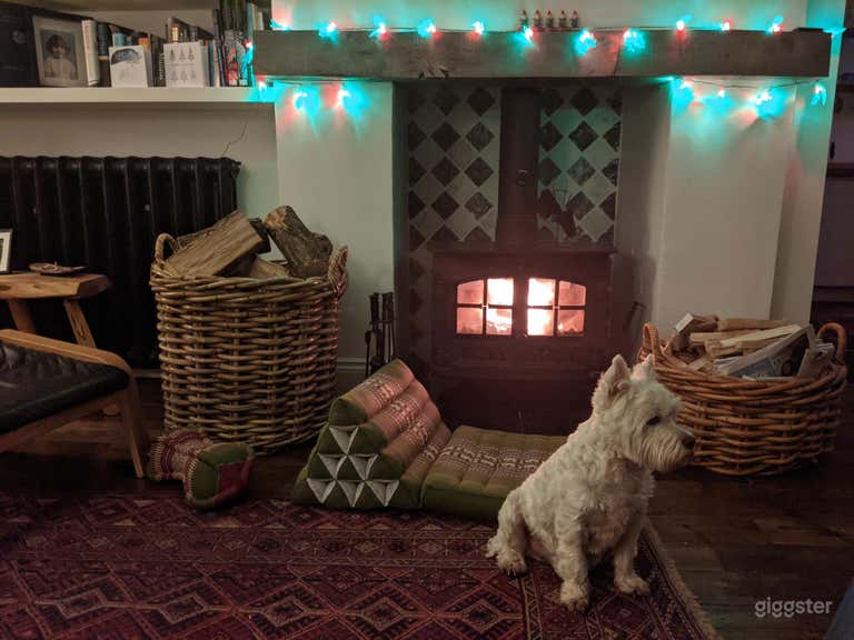  front lounge wood stove 