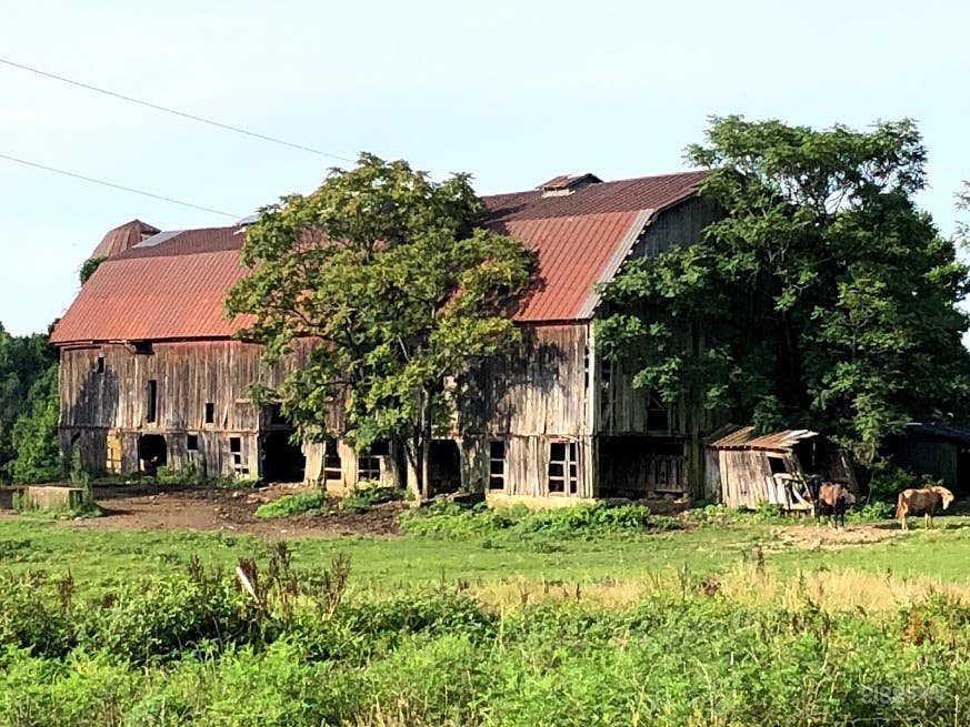 Antebellum Greek-Revival-Style Mansion  Photo 2