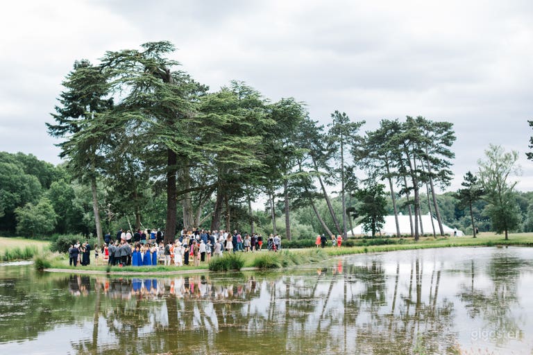  Lago con Isola e Viale di Pini 