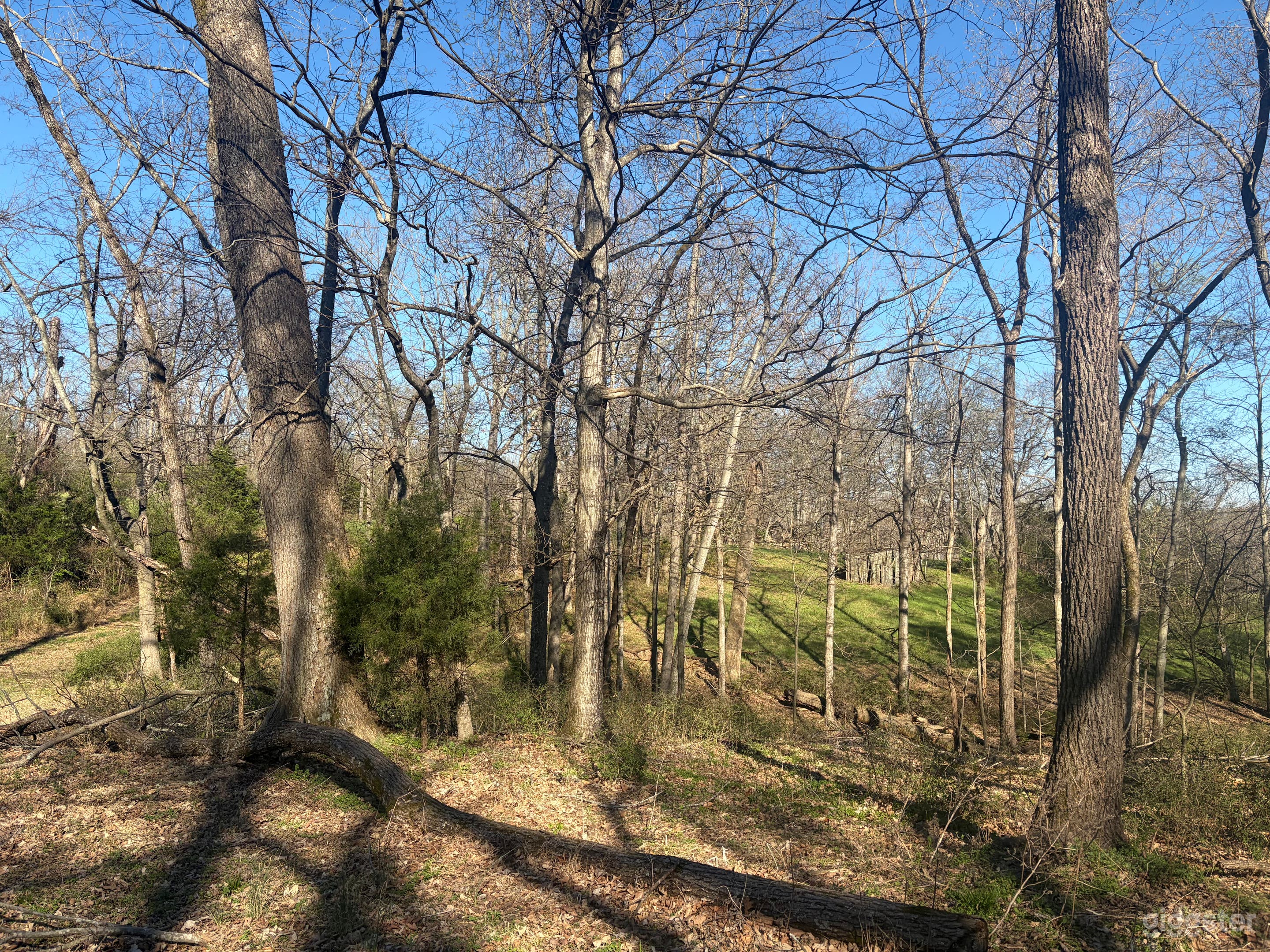 114 private beautiful farm with pond, creek, estate home Photo 4