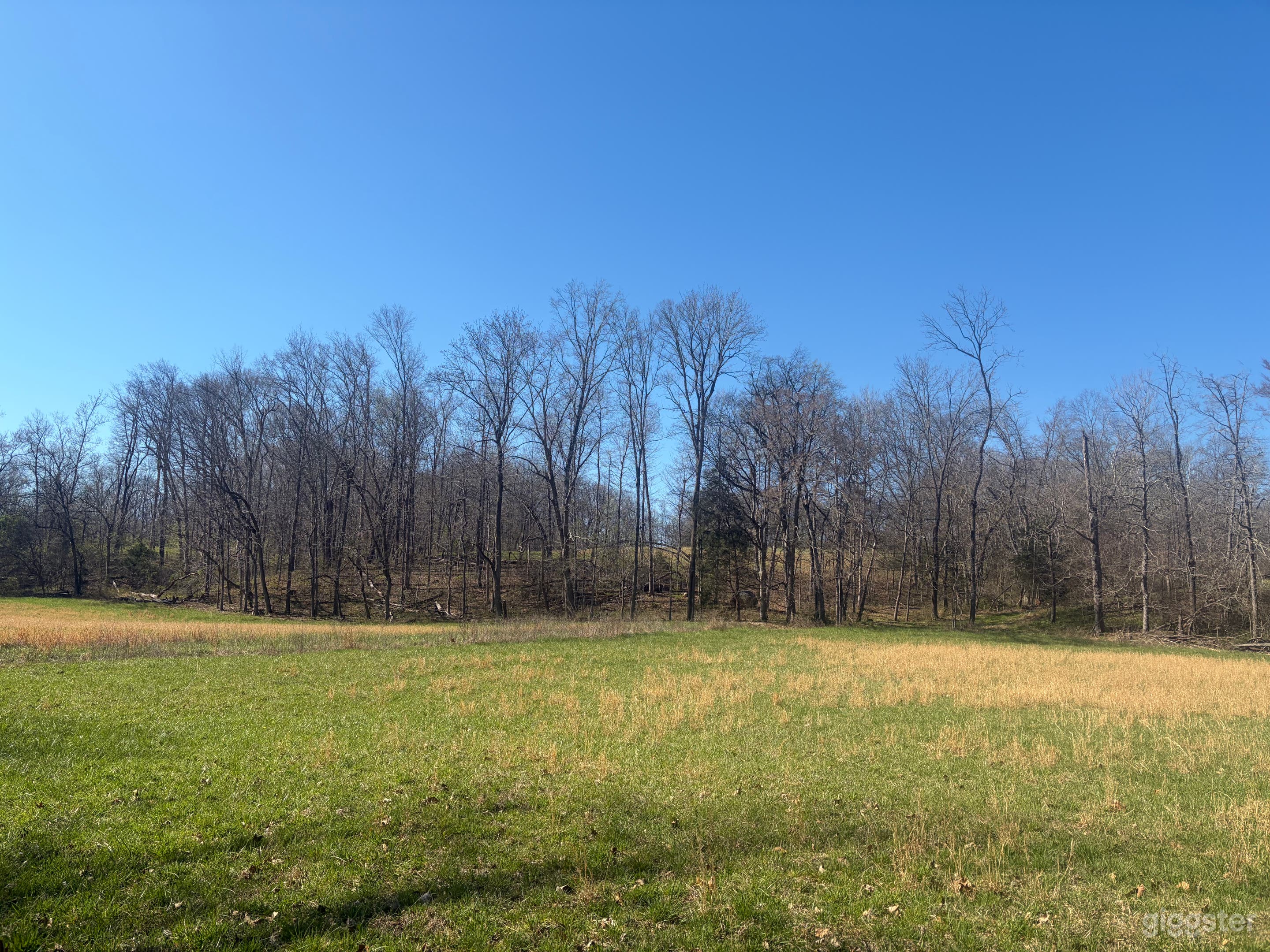 114 private beautiful farm with pond, creek, estate home Photo 3