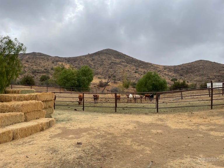  6 Guns Film Location 