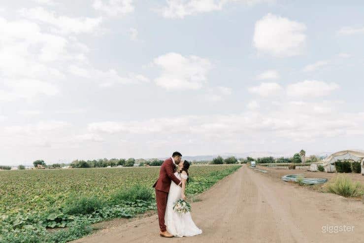  Heavenly Vineyard Wedding Venue in Camarillo 