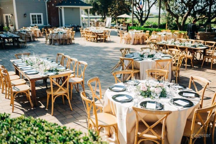 Heavenly Vineyard Wedding Venue in Camarillo 