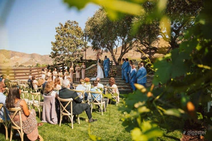 Heavenly Vineyard Wedding Venue in Camarillo Photo 4