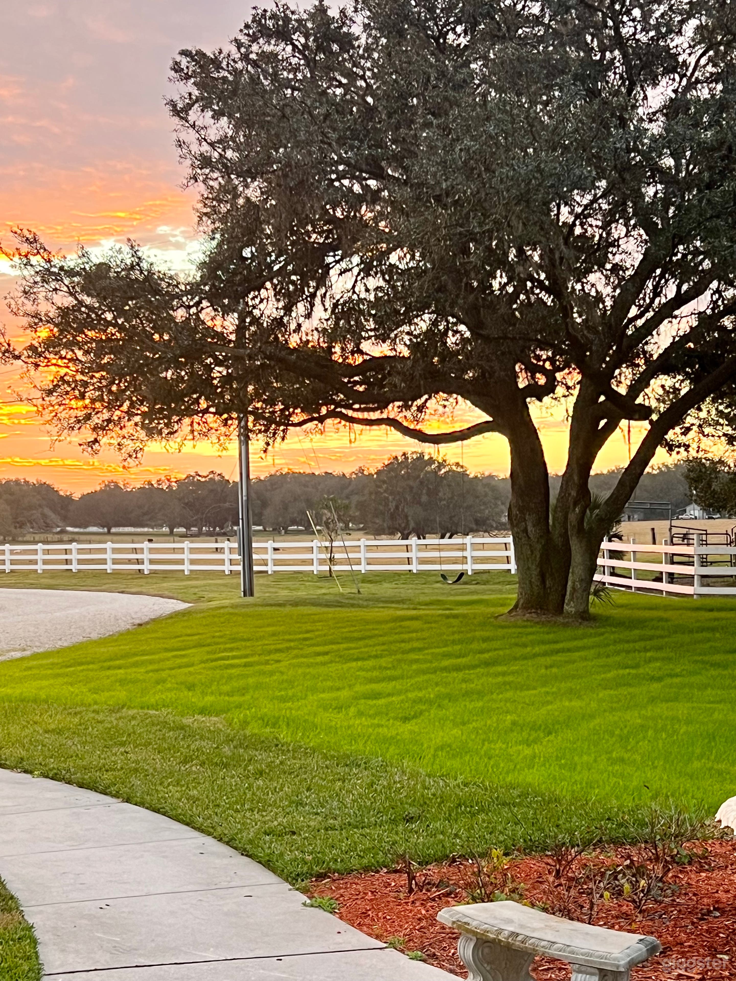 Expansive Farm + Bed &amp; Breakfast House Photo 3