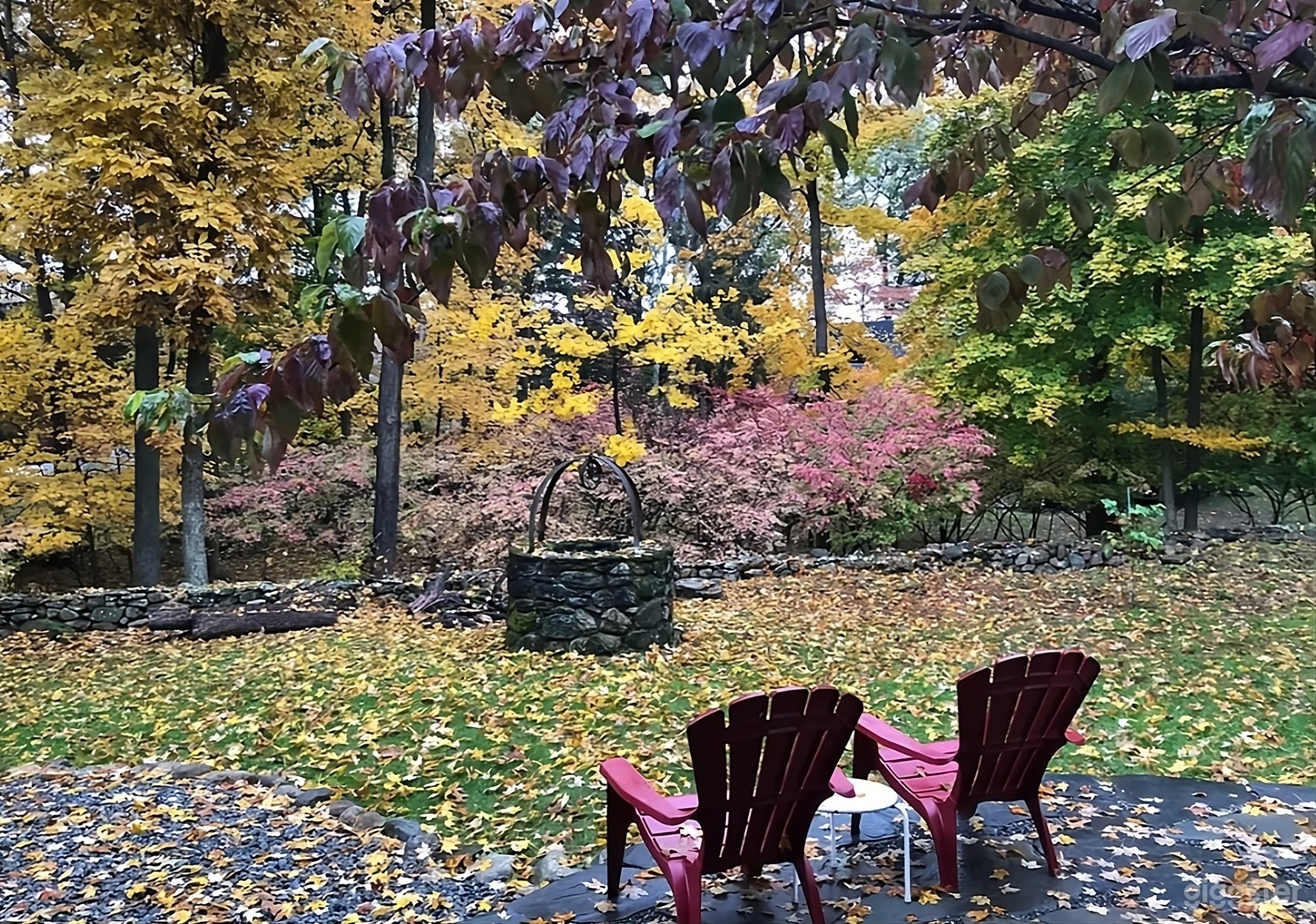 Enchanting Backyard with Stone Well Photo 1