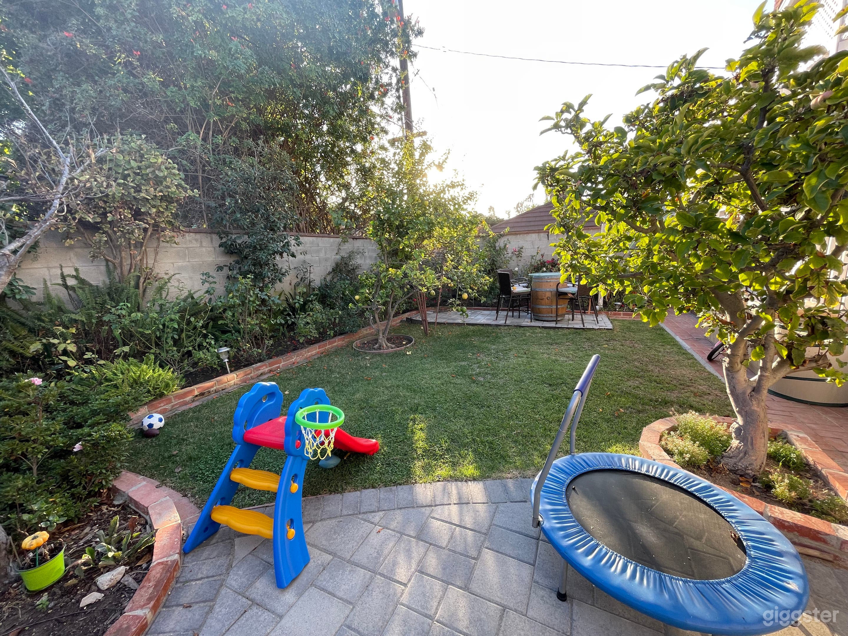 Anywhere, USA landscaped front and back yard  Photo 4