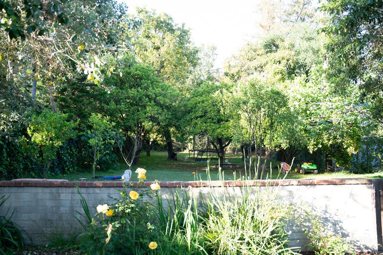  Charming Modern California Ranch Home with Mini Orchard 