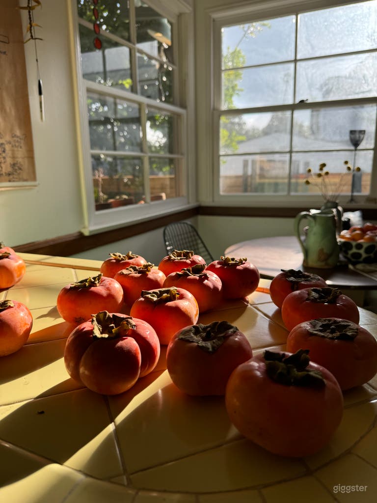  Charming Modern California Ranch Home with Mini Orchard 