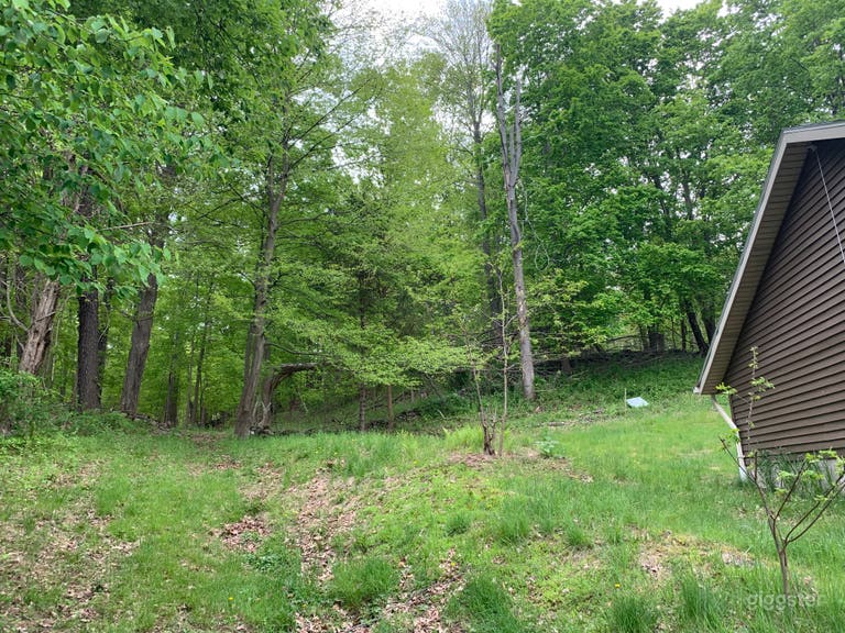  Modern Ranch House in Kingston, NY (11.4 acres) 