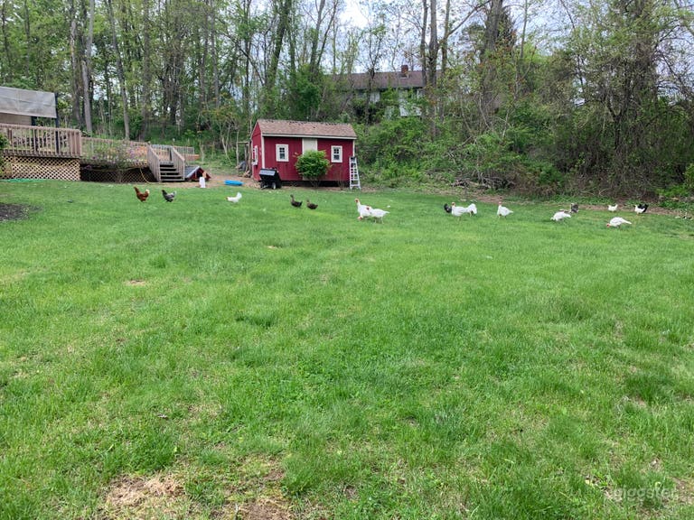  Modern Ranch House in Kingston, NY (11.4 acres) 