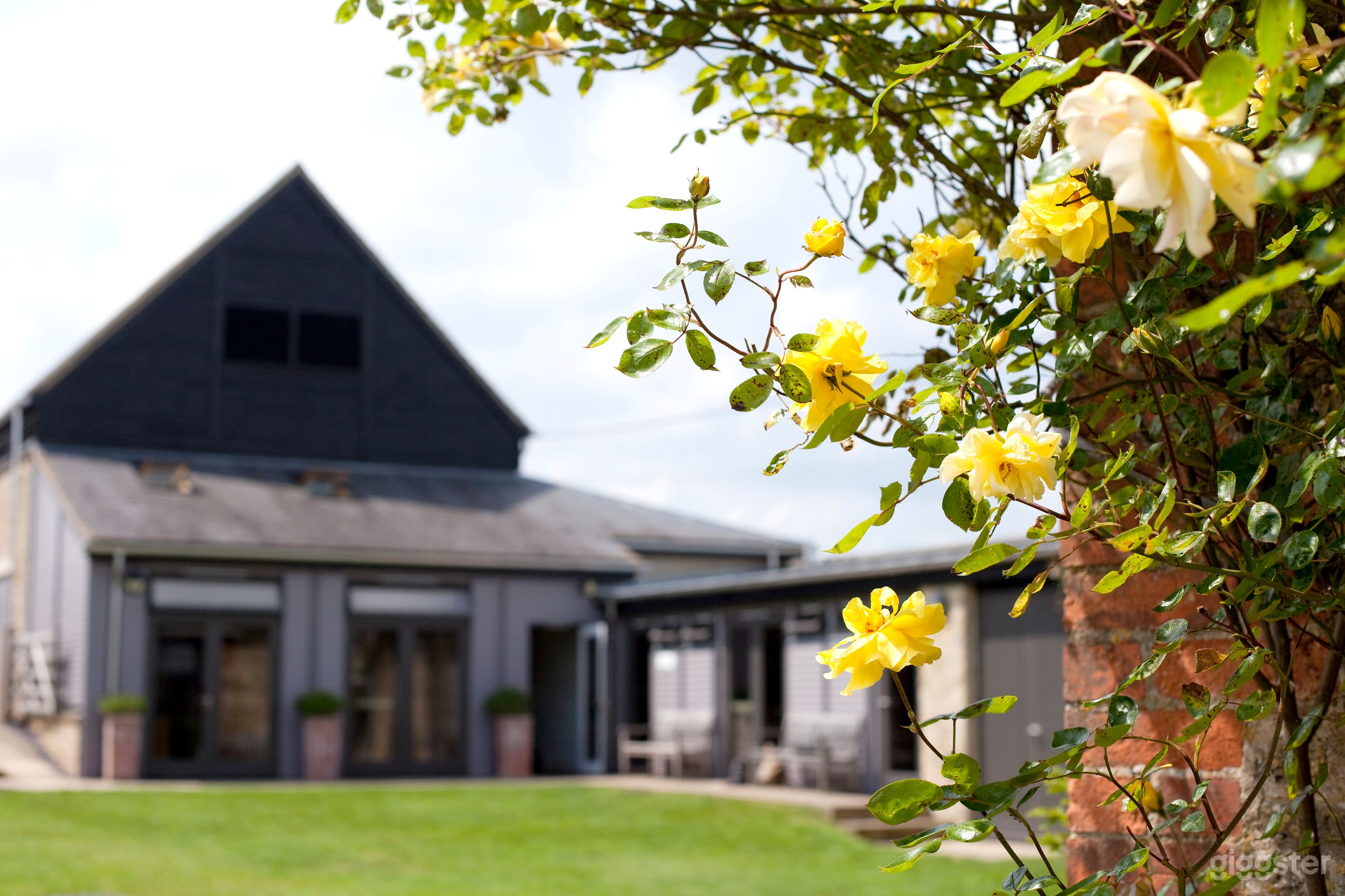 offices overlooking garden