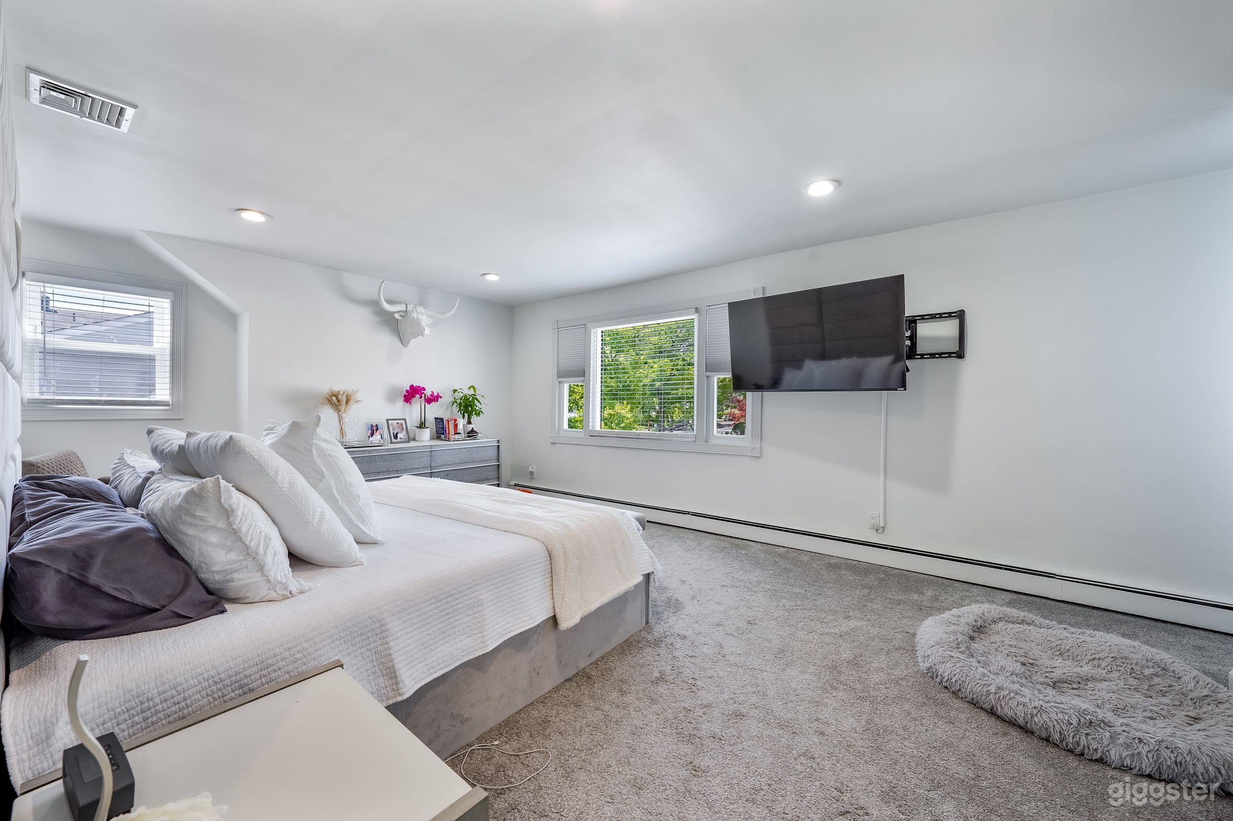 Suburban oasis great for filming &amp; photo shoots! Photo 4