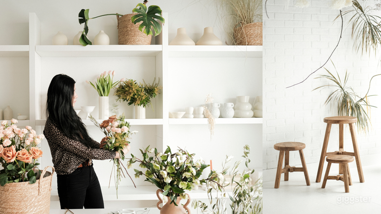  NEW!! Mini Natural & Bright Light Studios  