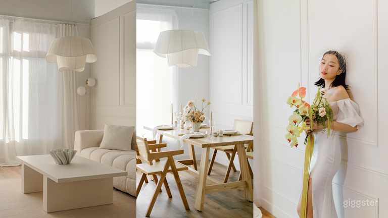  NEW!! Mini Natural & Bright Light Studios  