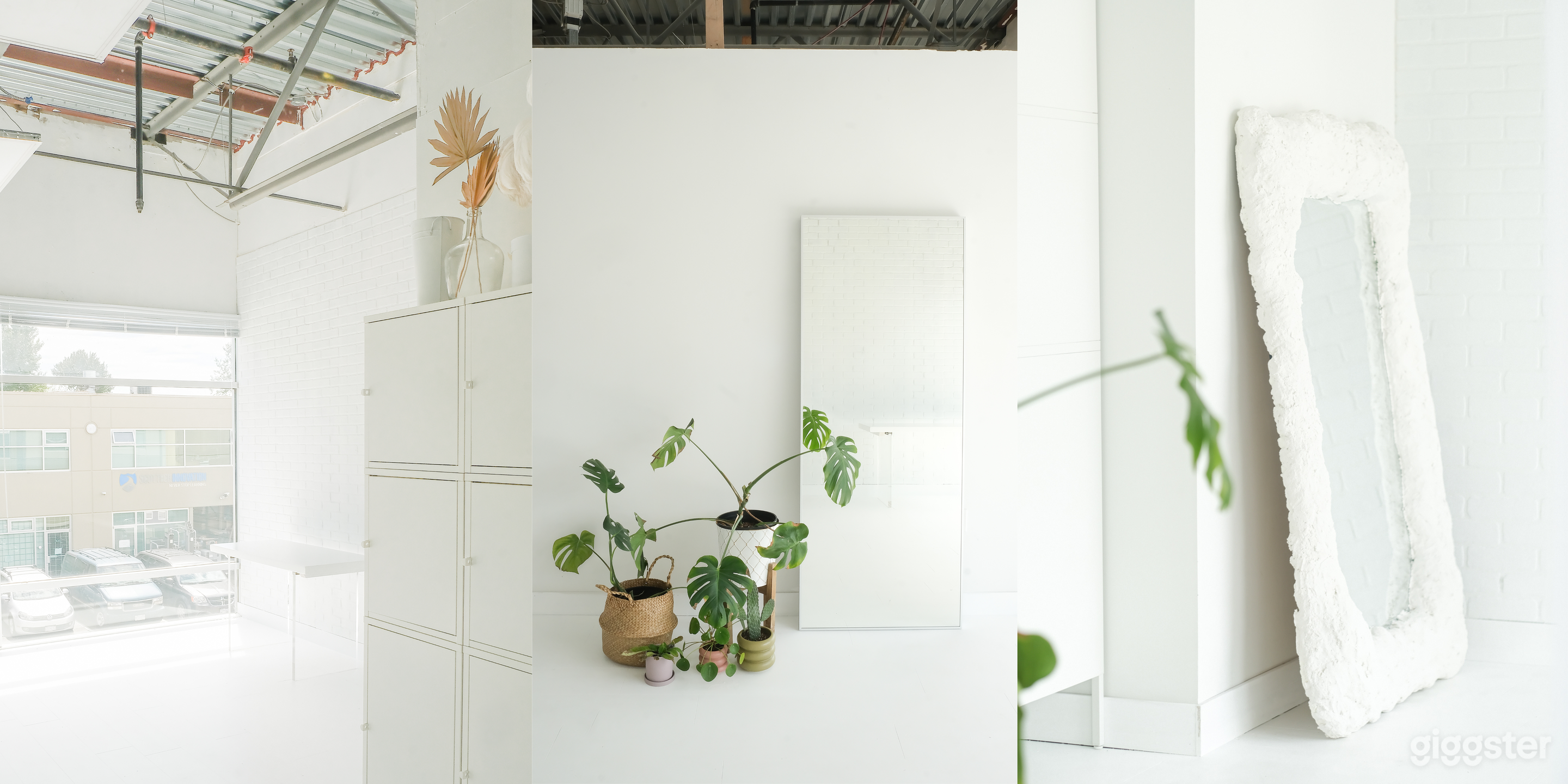 NEW!! Mini Natural &amp; Bright Light Studios  Photo 2