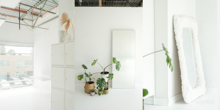  NEW!! Mini Natural & Bright Light Studios  