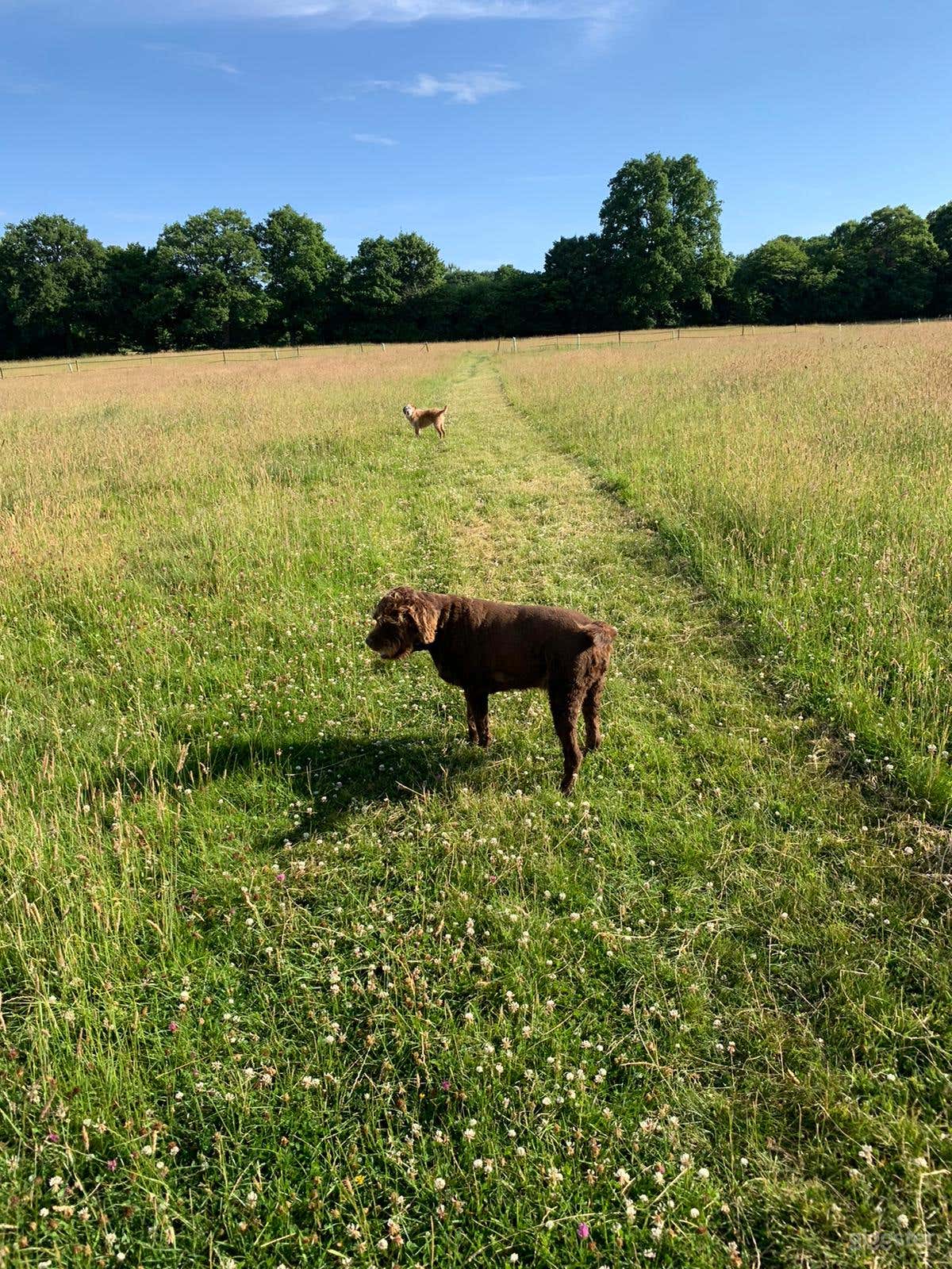 40-acre Maple Farm Photo 4