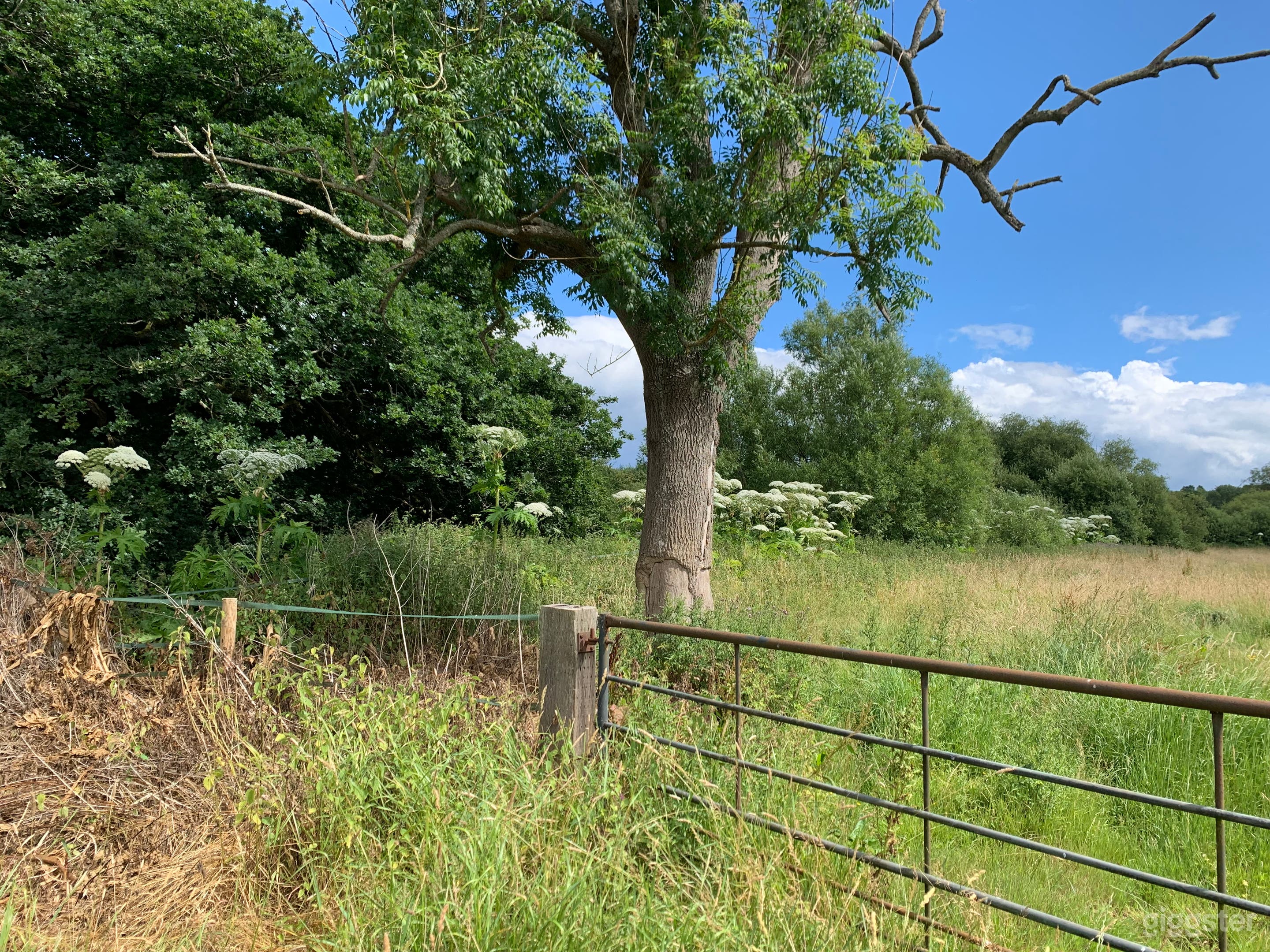 40-acre Maple Farm Photo 3