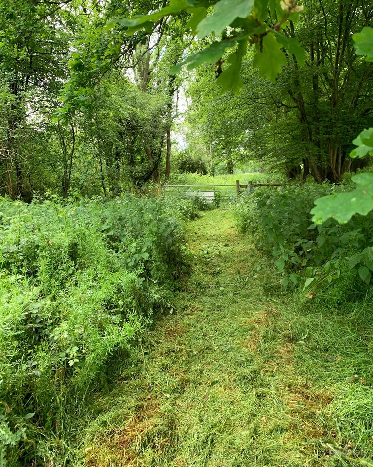  40-acre Maple Farm 