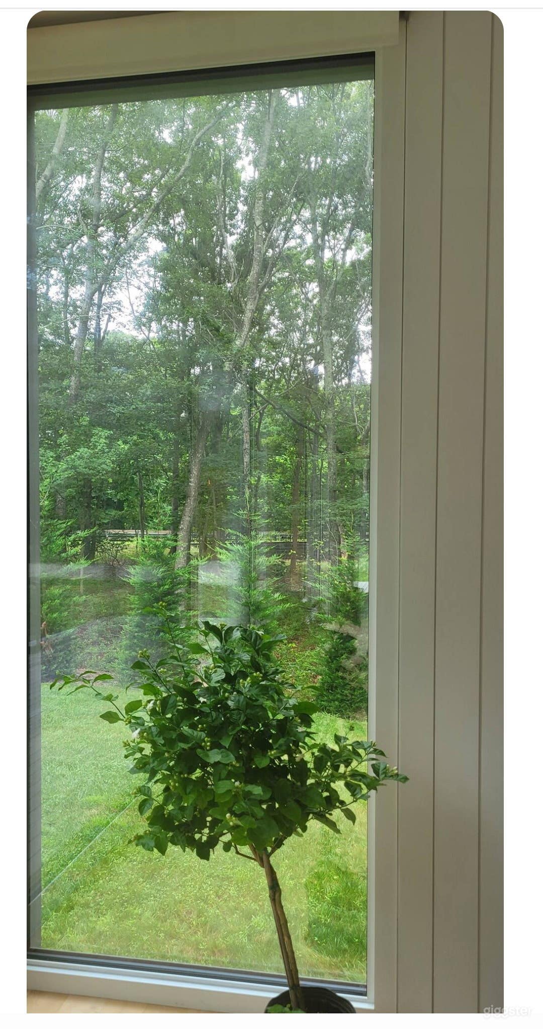 Modern, comfortable window filled home in Springs Photo 3