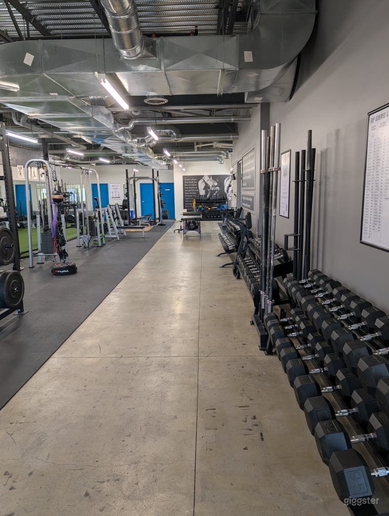  Sleek & Modern Fitness Studio (with Turf Field) 