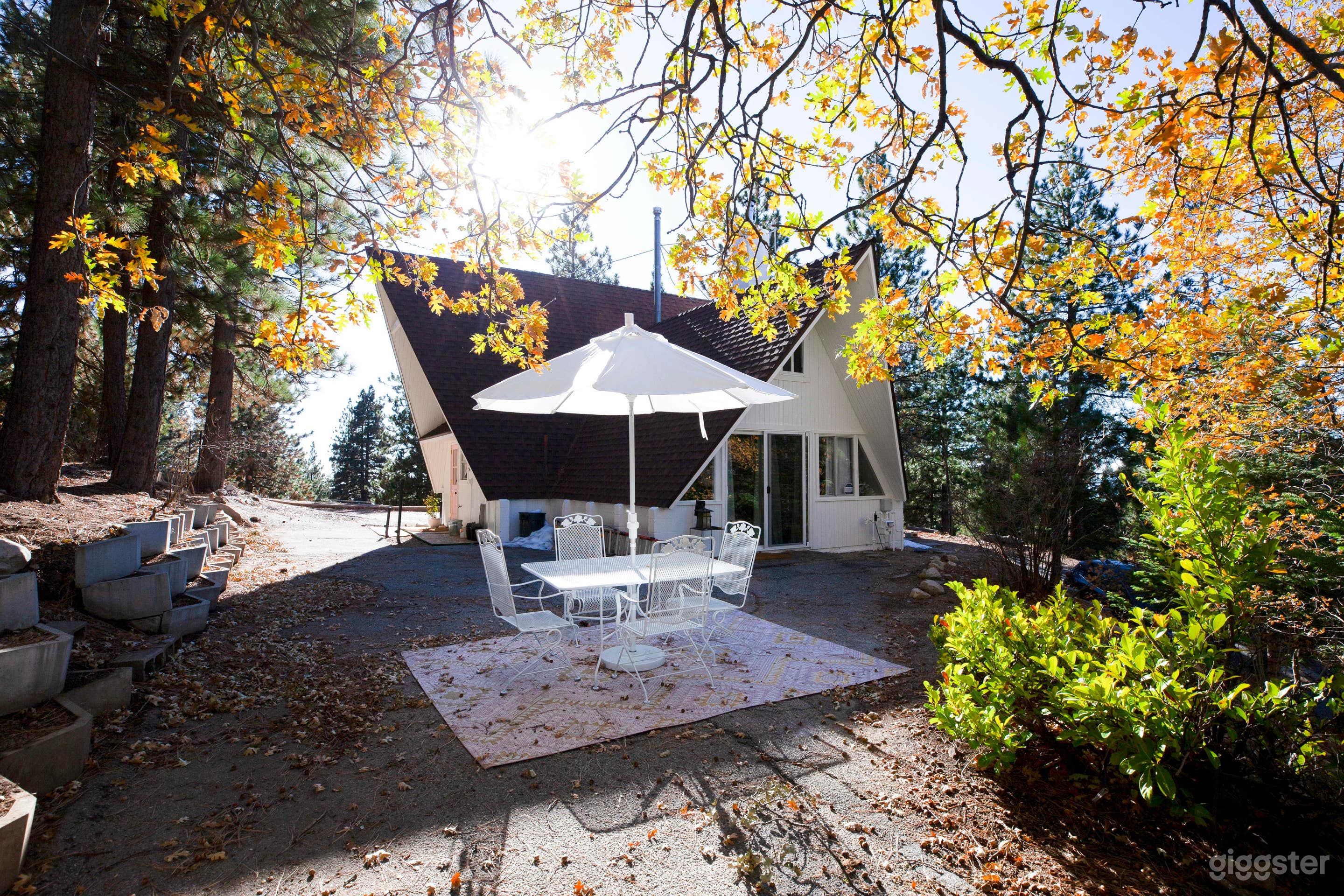 Little Apple A-Frame | A Vintage Modern Cabin Photo 4