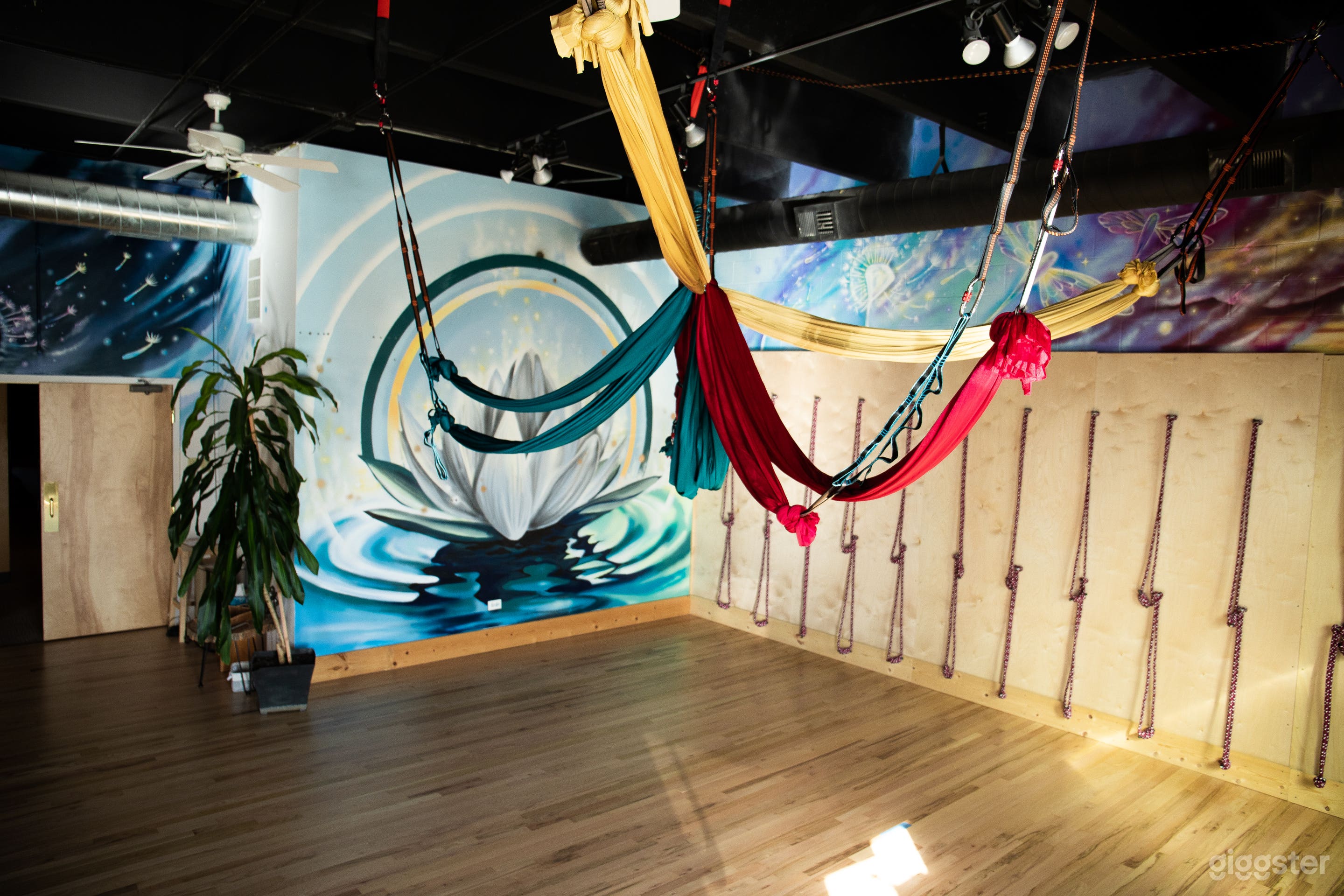 Yoga Center of Denver Photo 3