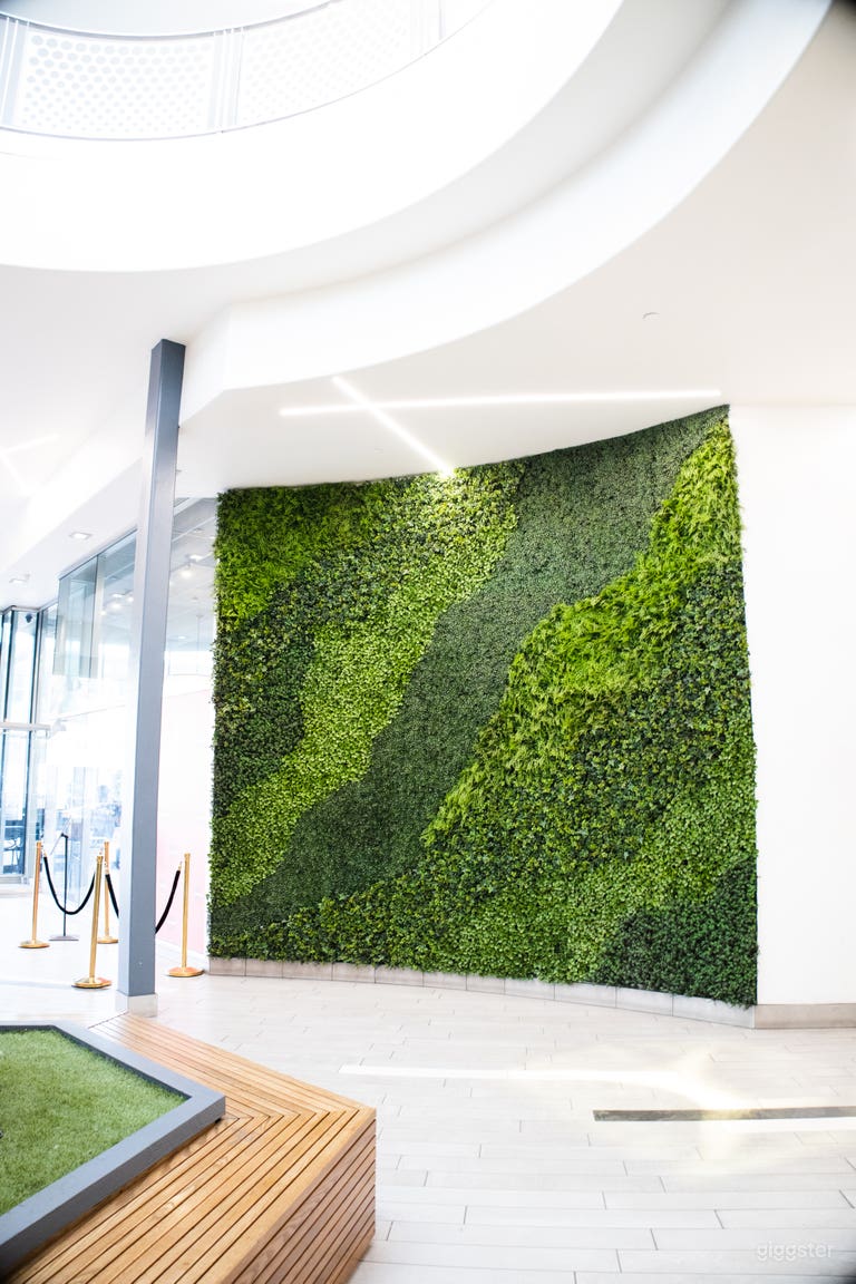  Great place for photo ops 