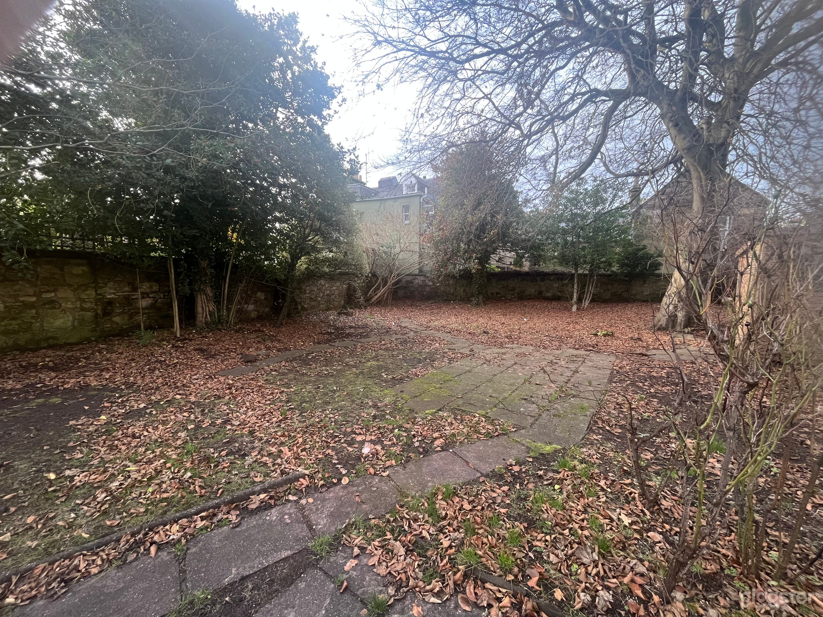 Charming Coffee Garden with Unique Horsebox Kiosk Photo 4