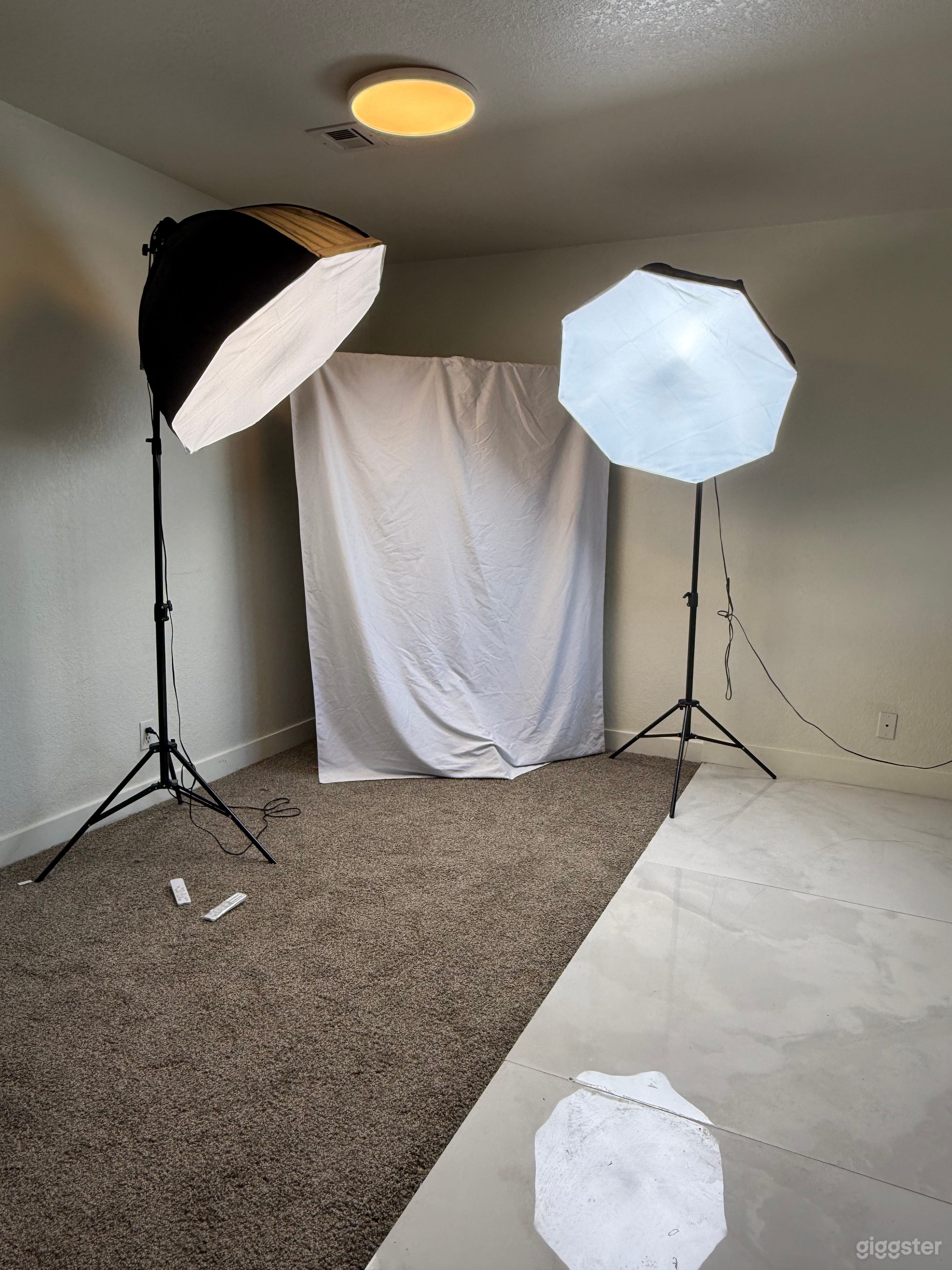 Lighting and backdrop available!!