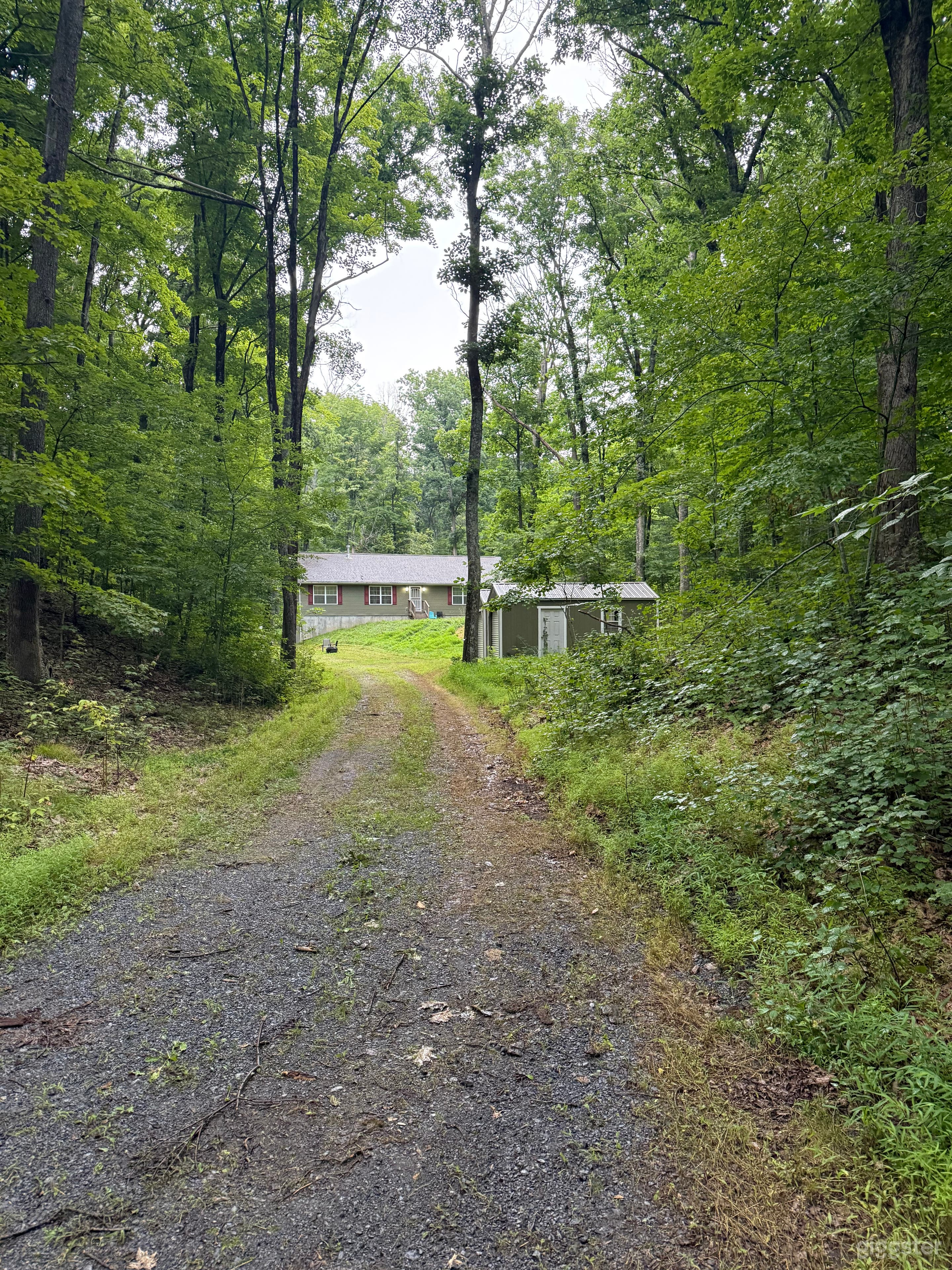 Beautiful Dutchess County 10.9 Acres of natural flora Photo 1