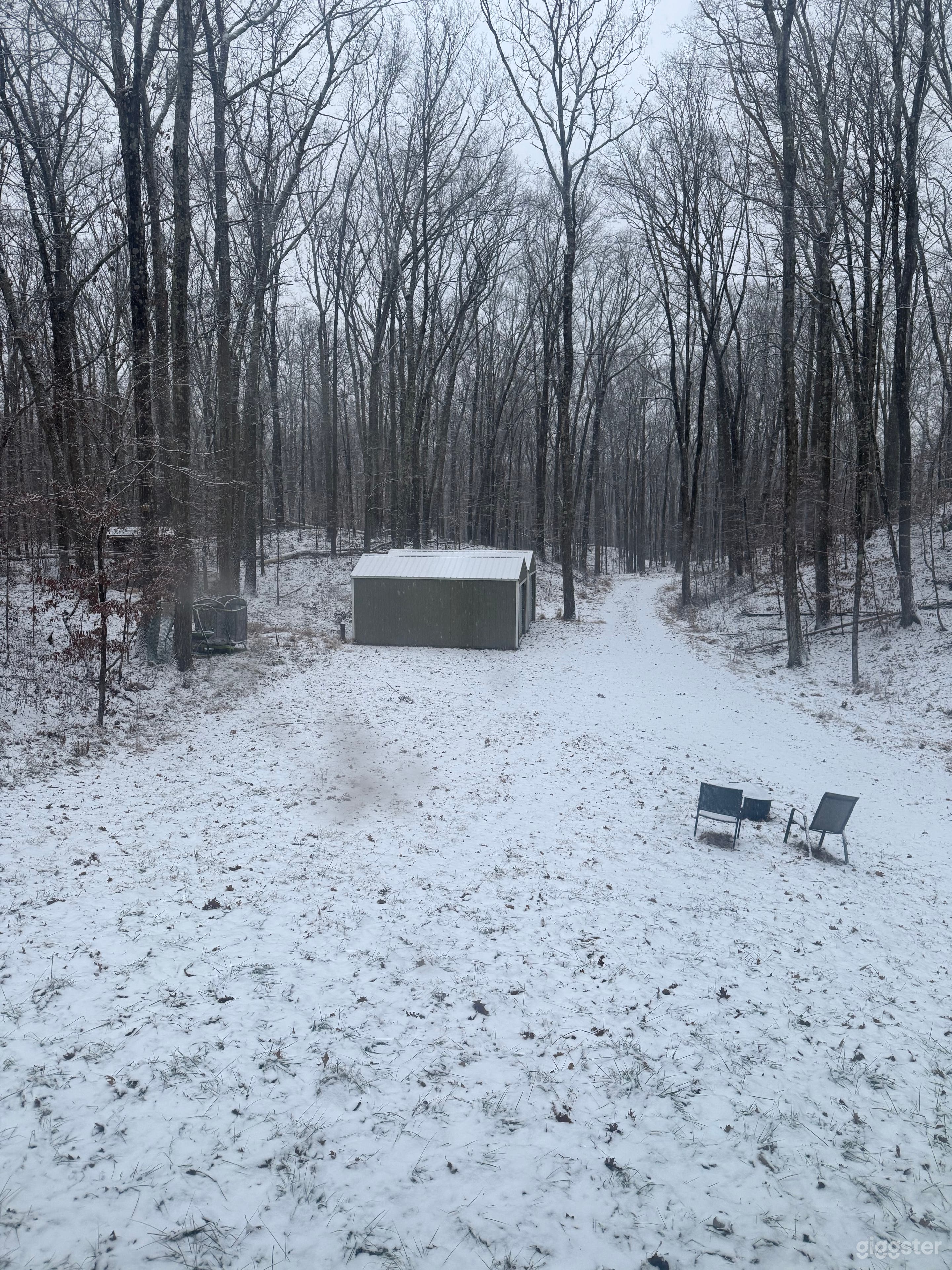Beautiful Dutchess County 10.9 Acres of natural flora Photo 4