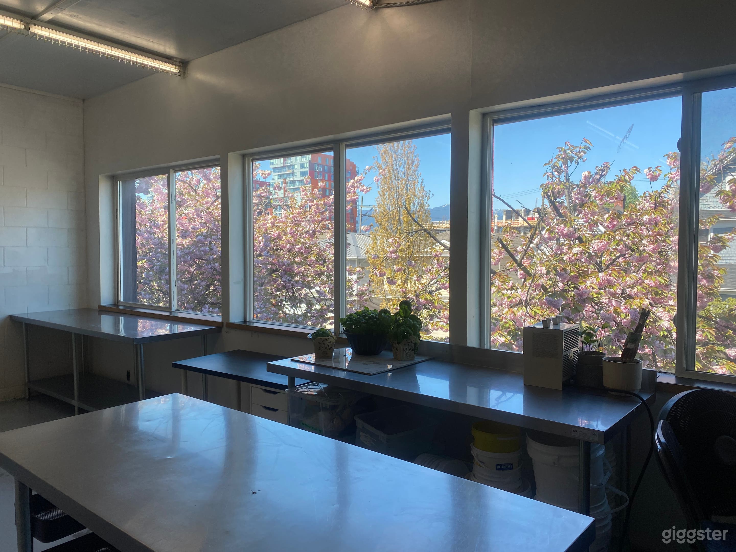 Chef Cherise's Kitchen Photo 1