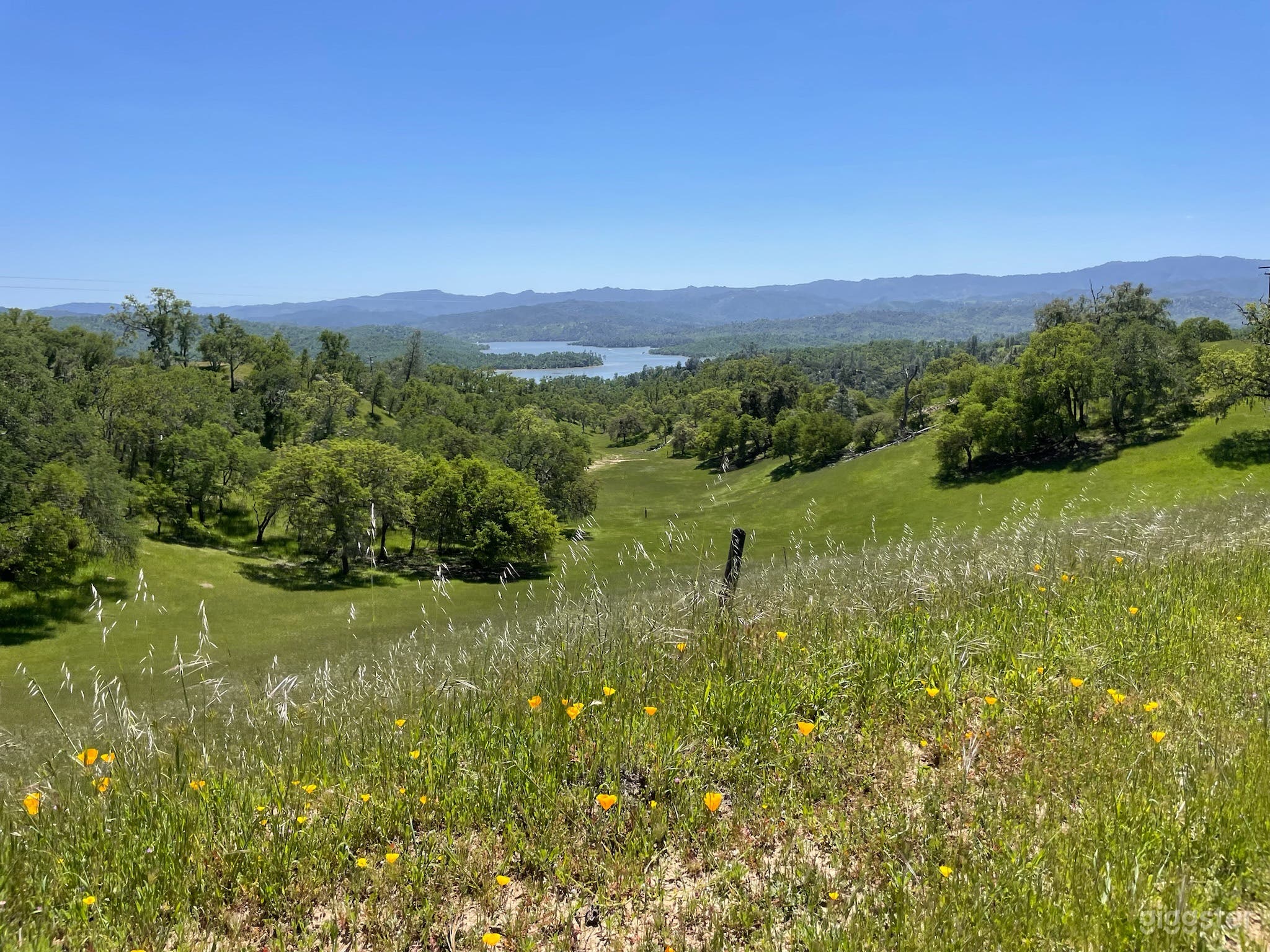White Oaks Ranch - Working Cattle Ranch Photo 4