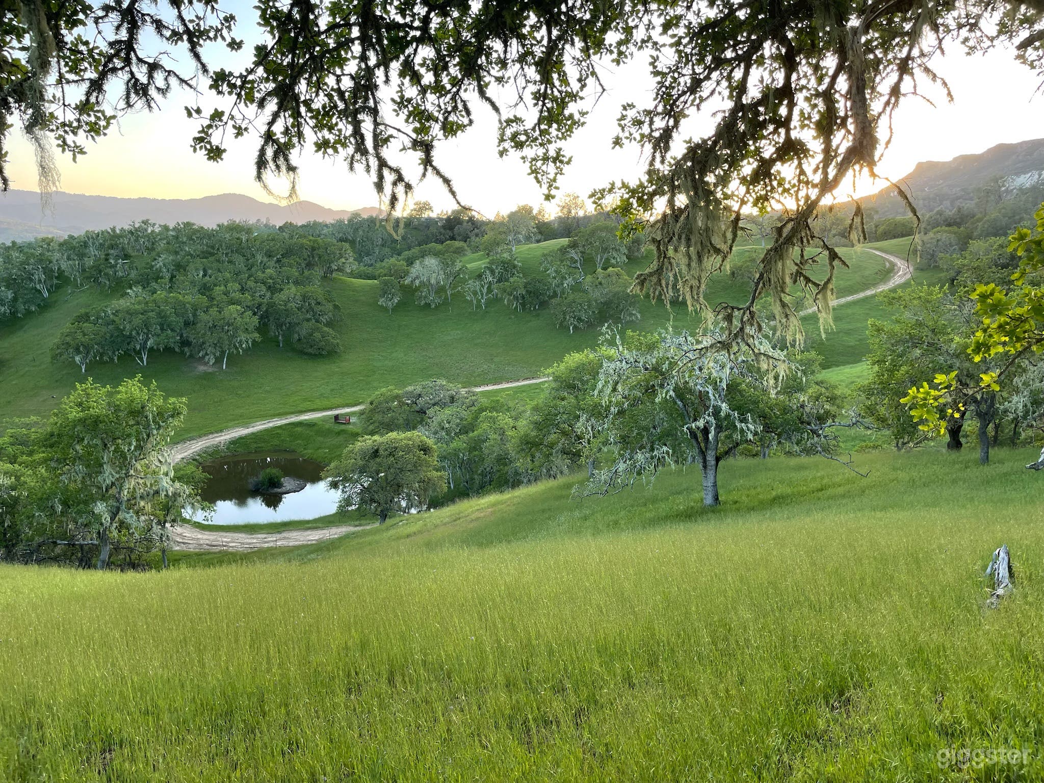 White Oaks Ranch - Working Cattle Ranch Photo 1