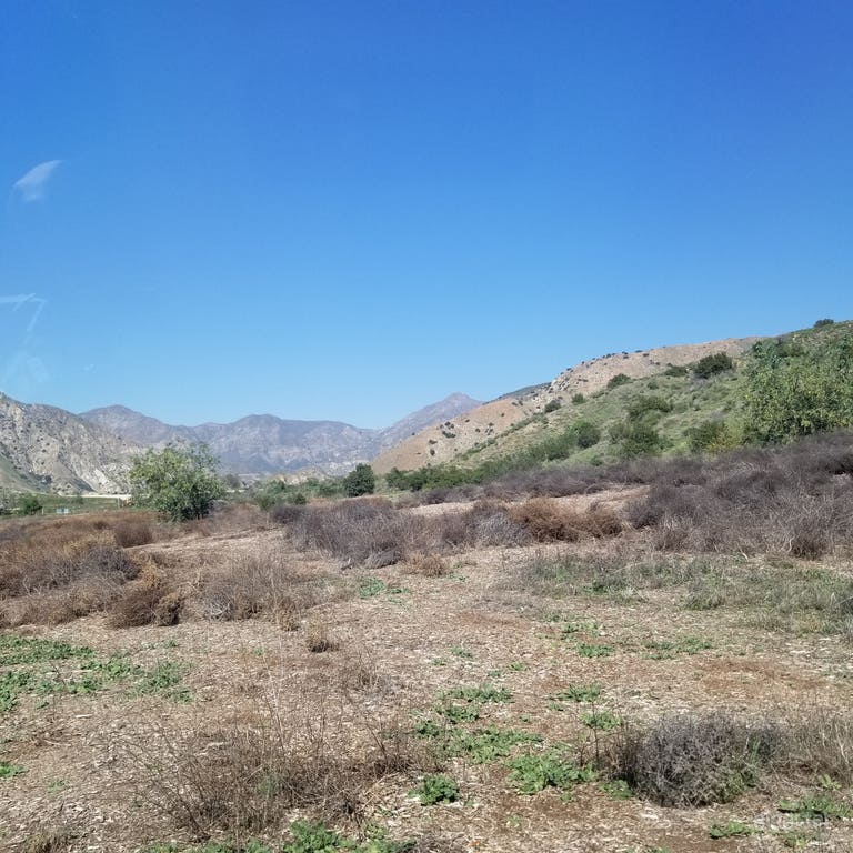  view from house middle of no where 