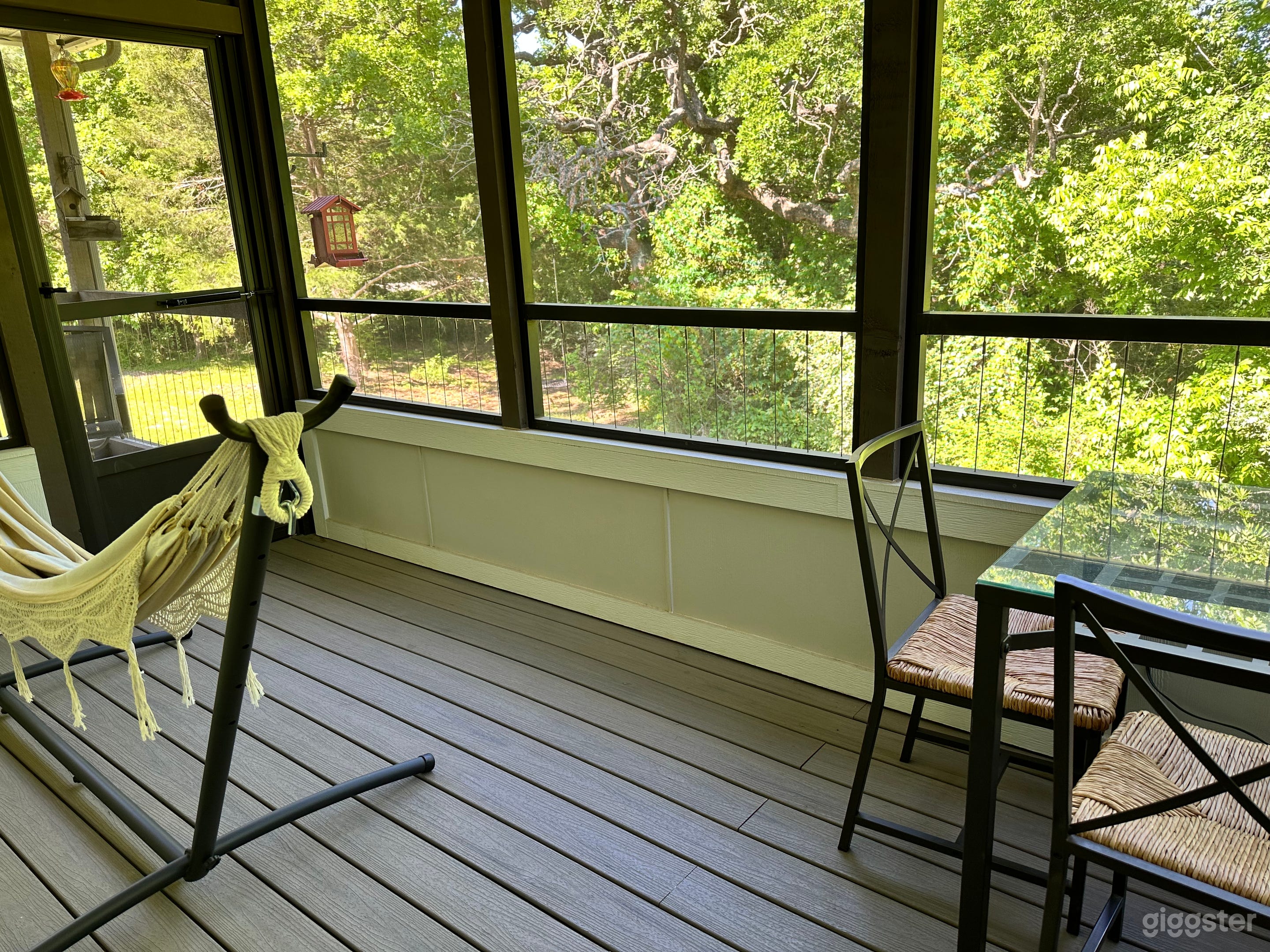 Creekside Cottage wildlife 🕊️& plantlife 🌳🌻🪴 Photo 2