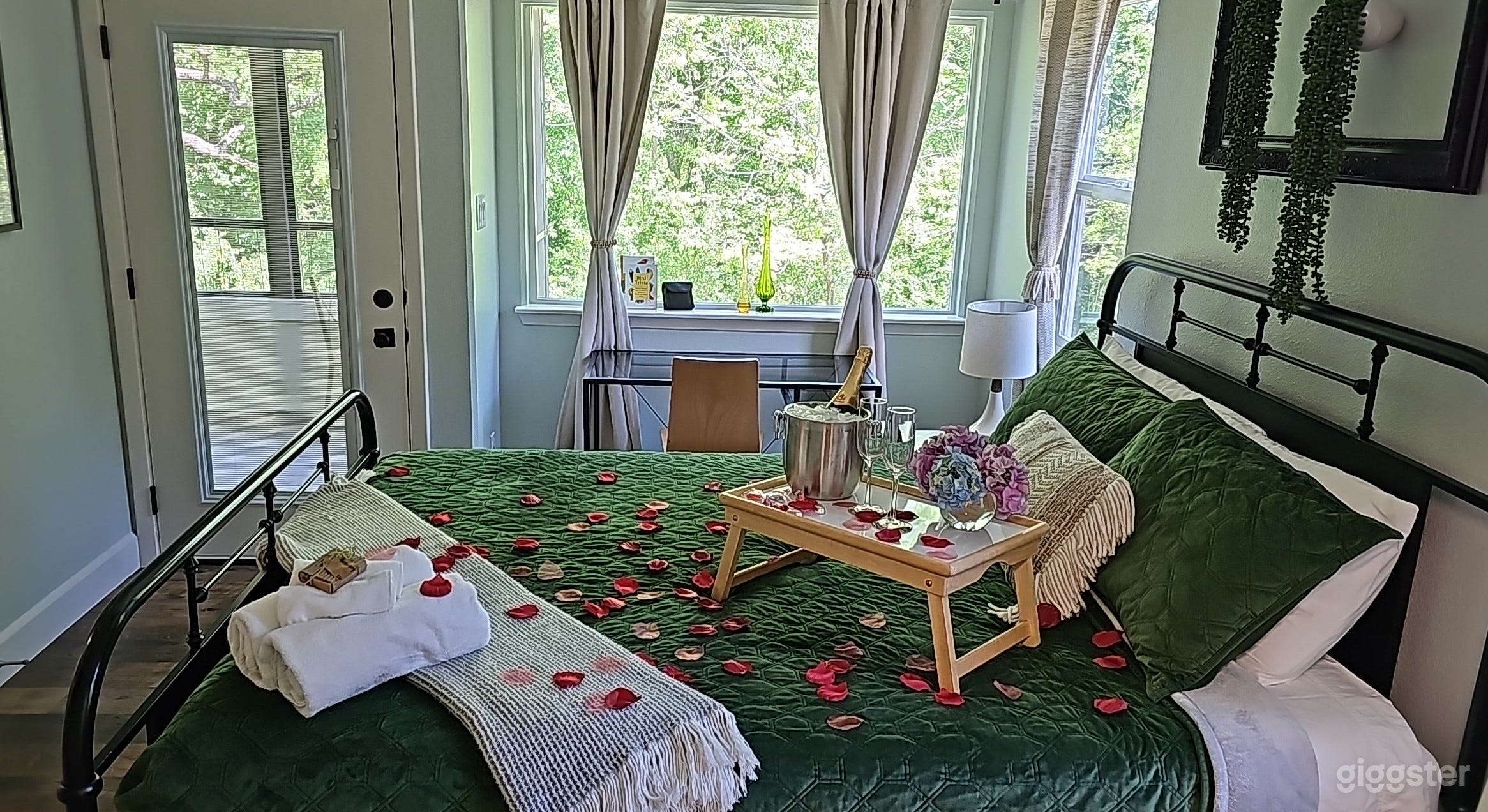 Creekside Cottage wildlife 🕊️& plantlife 🌳🌻🪴 Photo 1