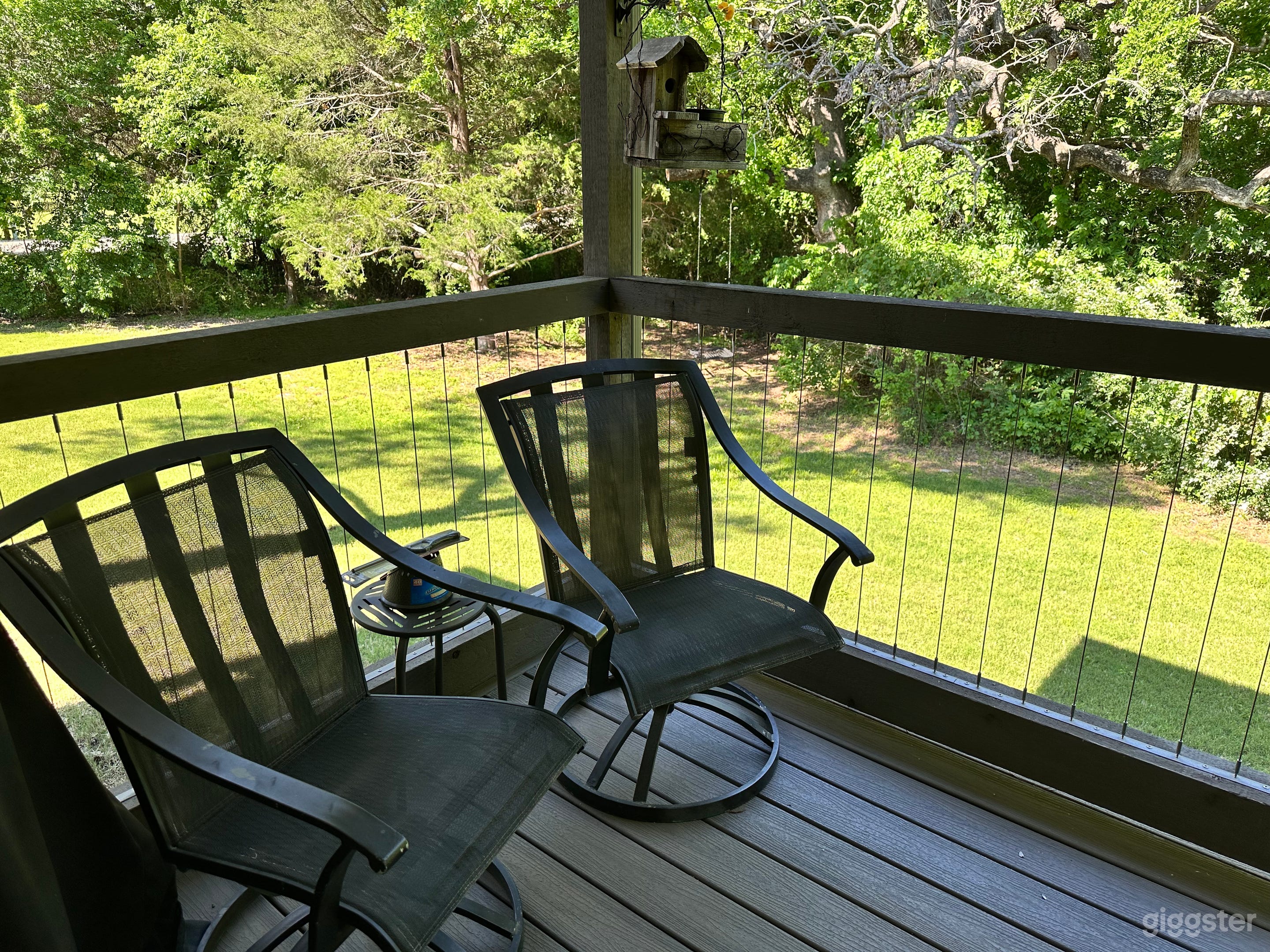 Creekside Cottage wildlife 🕊️& plantlife 🌳🌻🪴 Photo 3