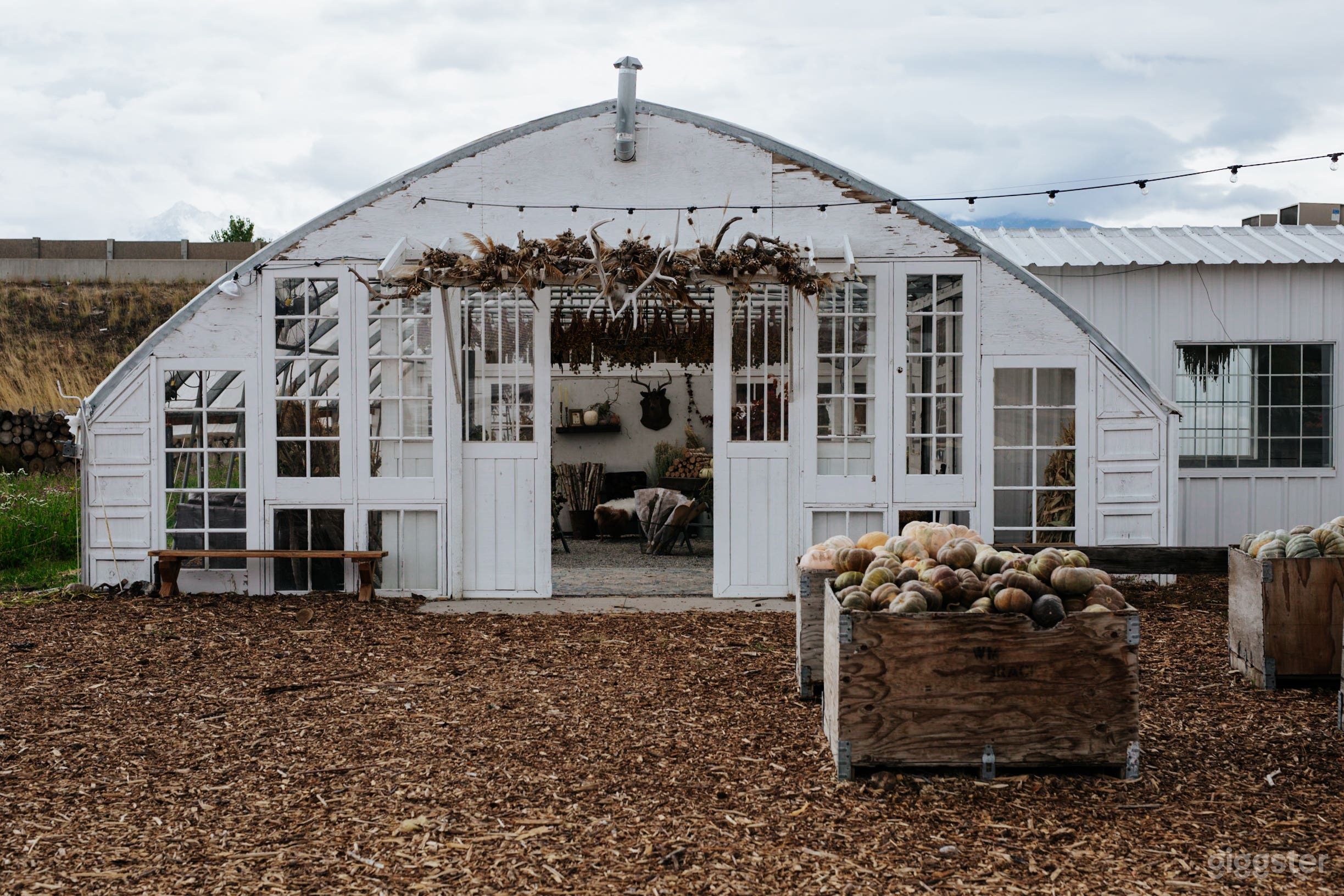 Beautiful and Airy Garden House  Photo 4