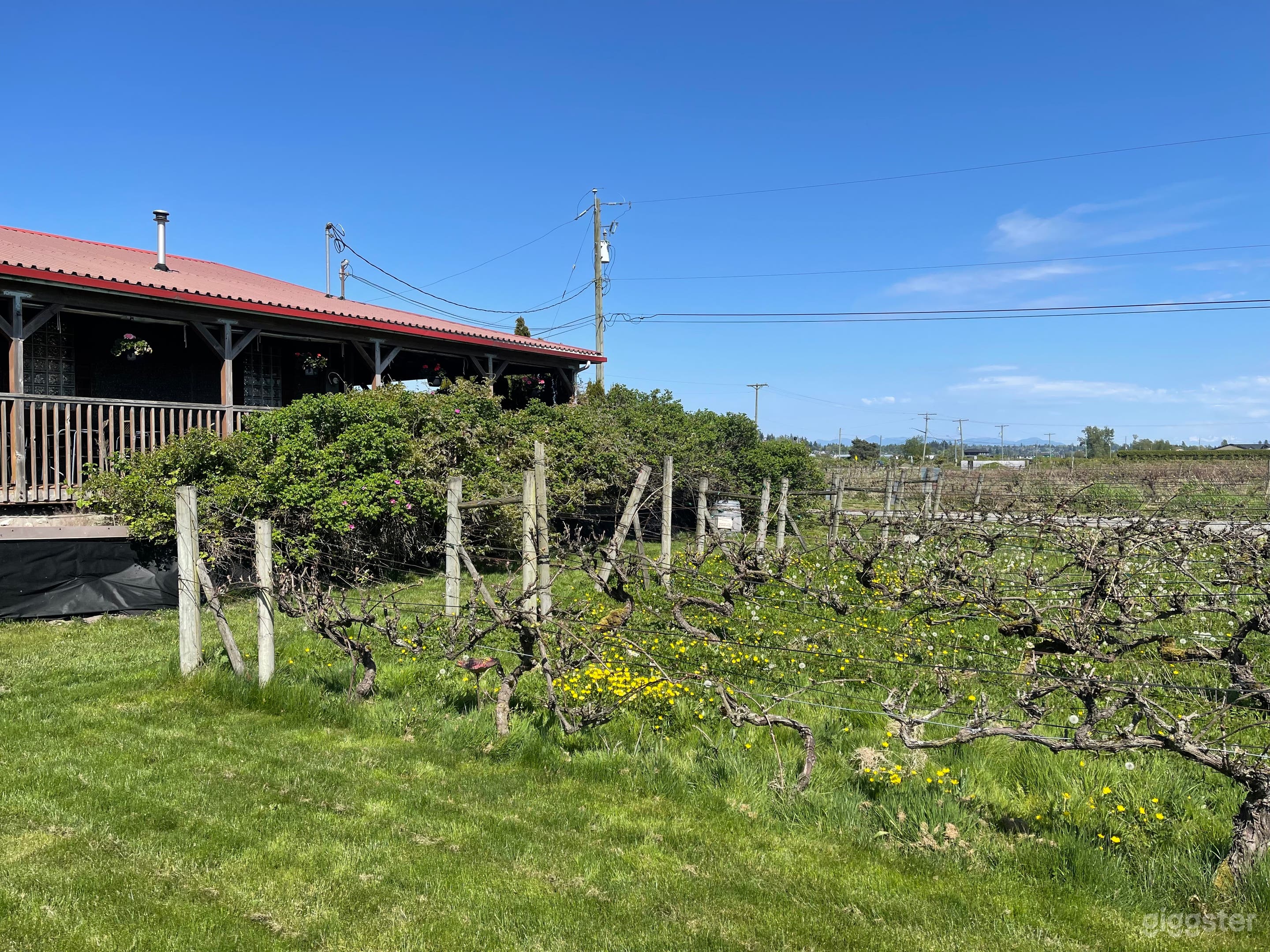 WINERY STYLE OUTDOOR VINYARD and indoor events Photo 4