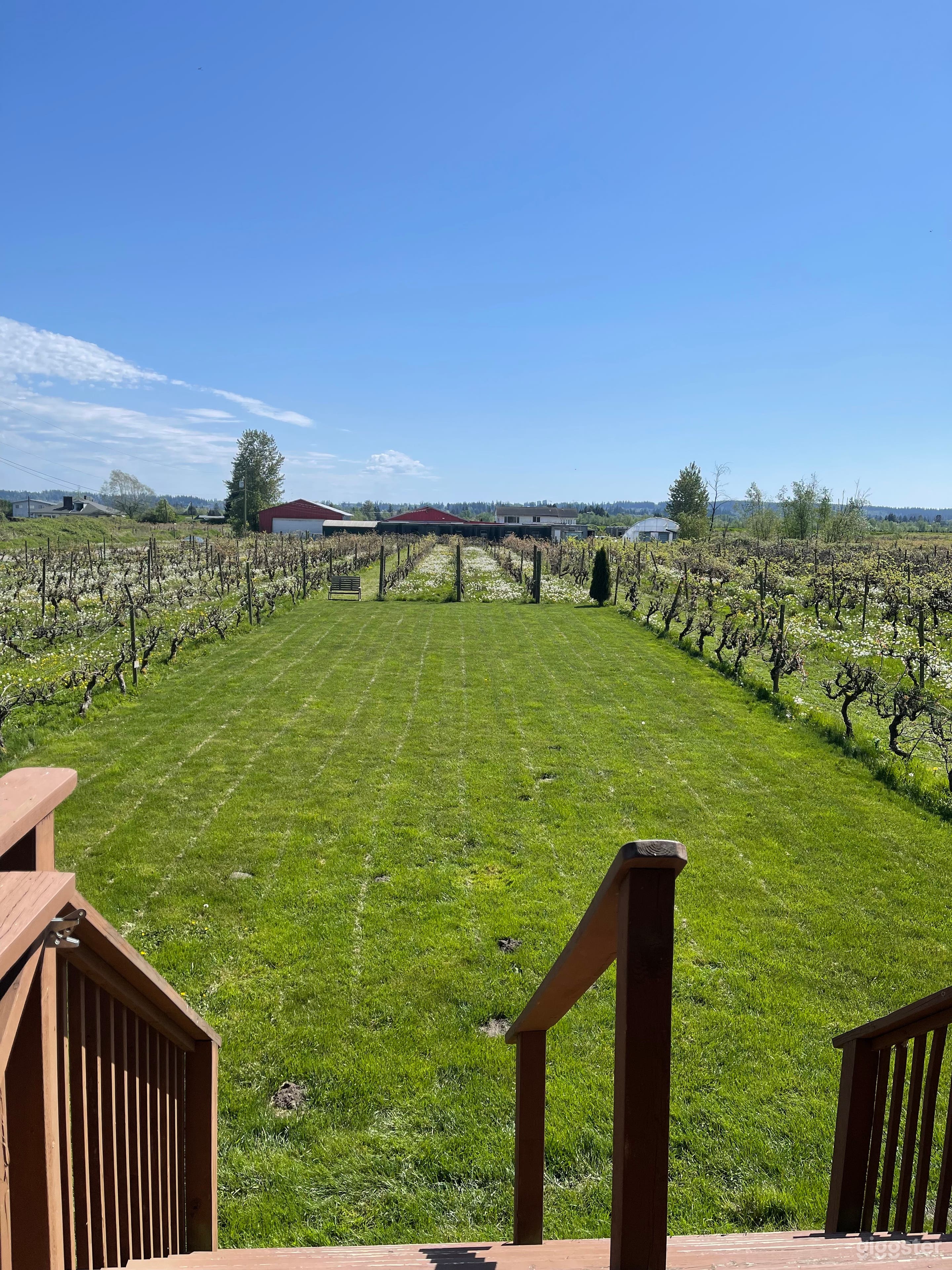 WINERY STYLE OUTDOOR VINYARD and indoor events Photo 1