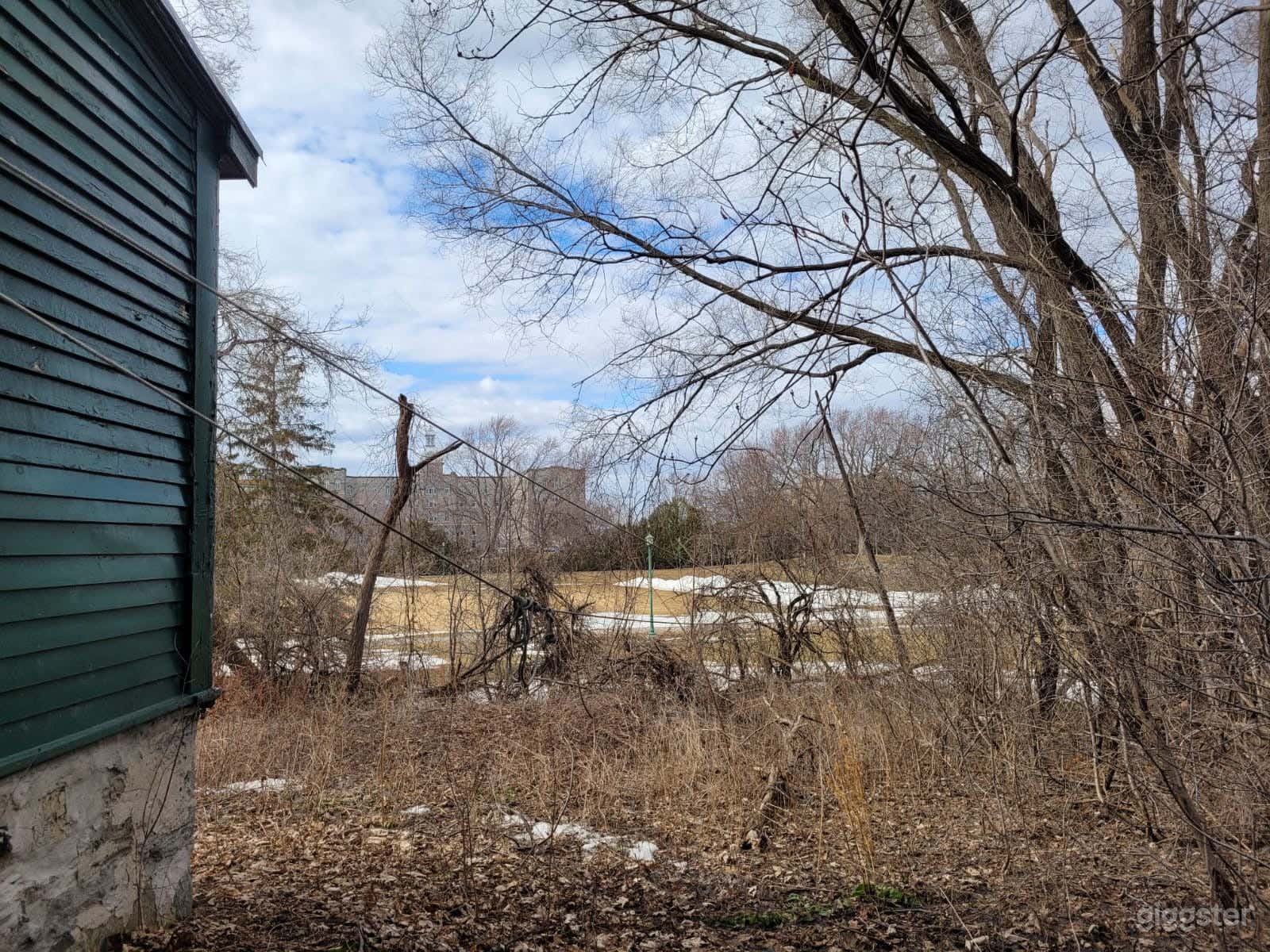 leads to forest park