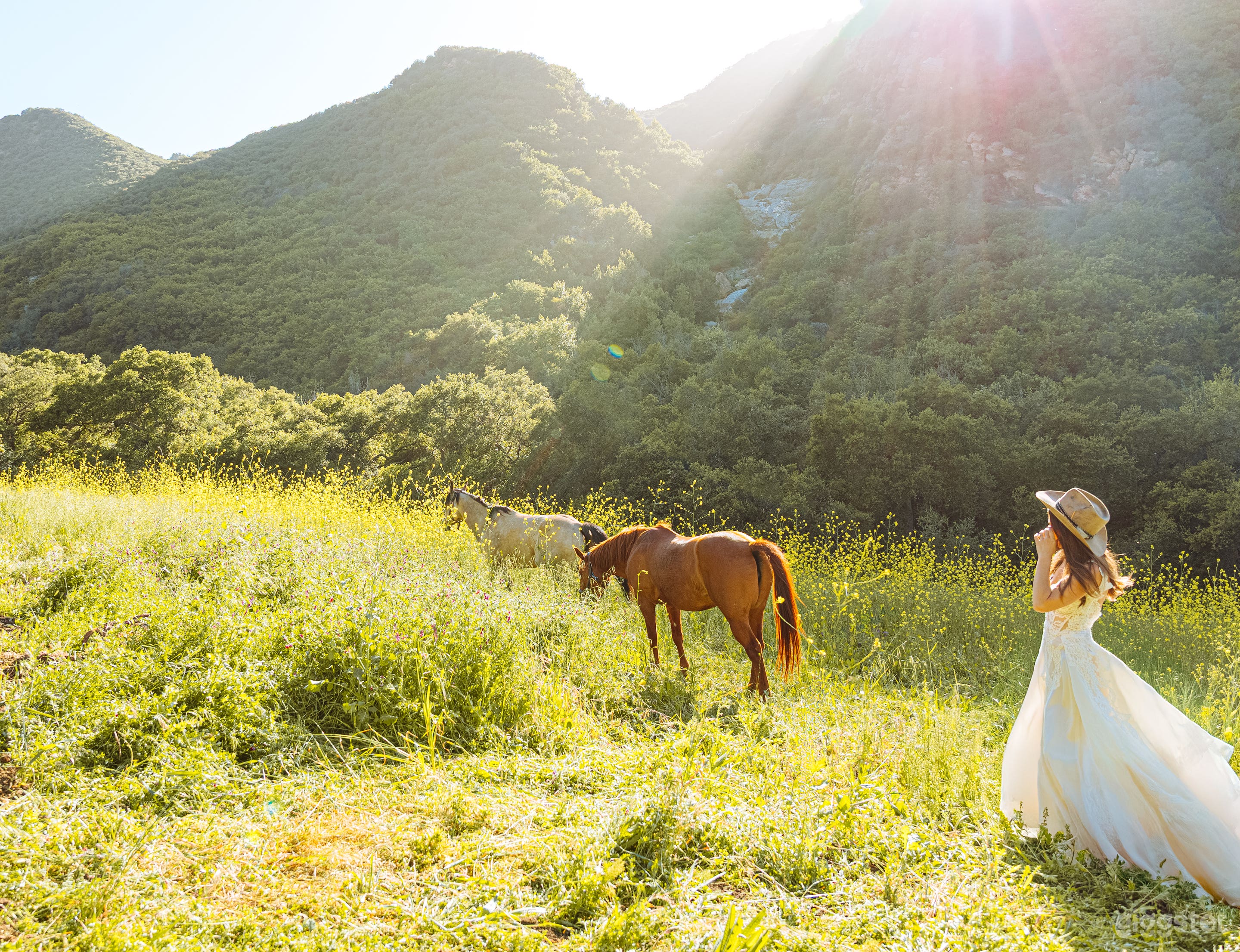 BUTTERFLY MOUNTAIN | 70-Acre Topanga Nature Sanctuary Photo 2