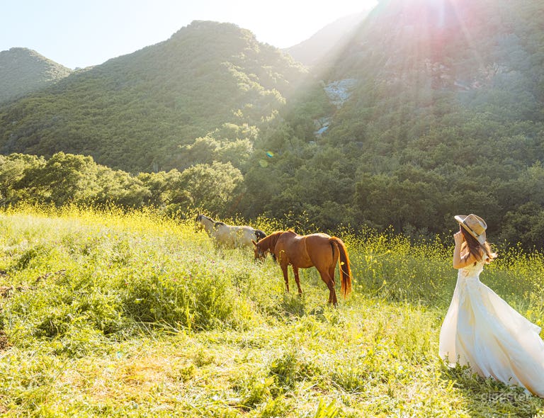  BUTTERFLY MOUNTAIN | 70-Acre Topanga Nature Sanctuary 