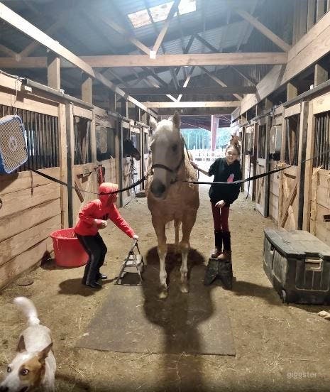 Barn Aisleway Photo 4