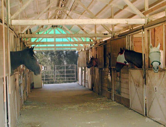 Barn Aisleway Photo 2