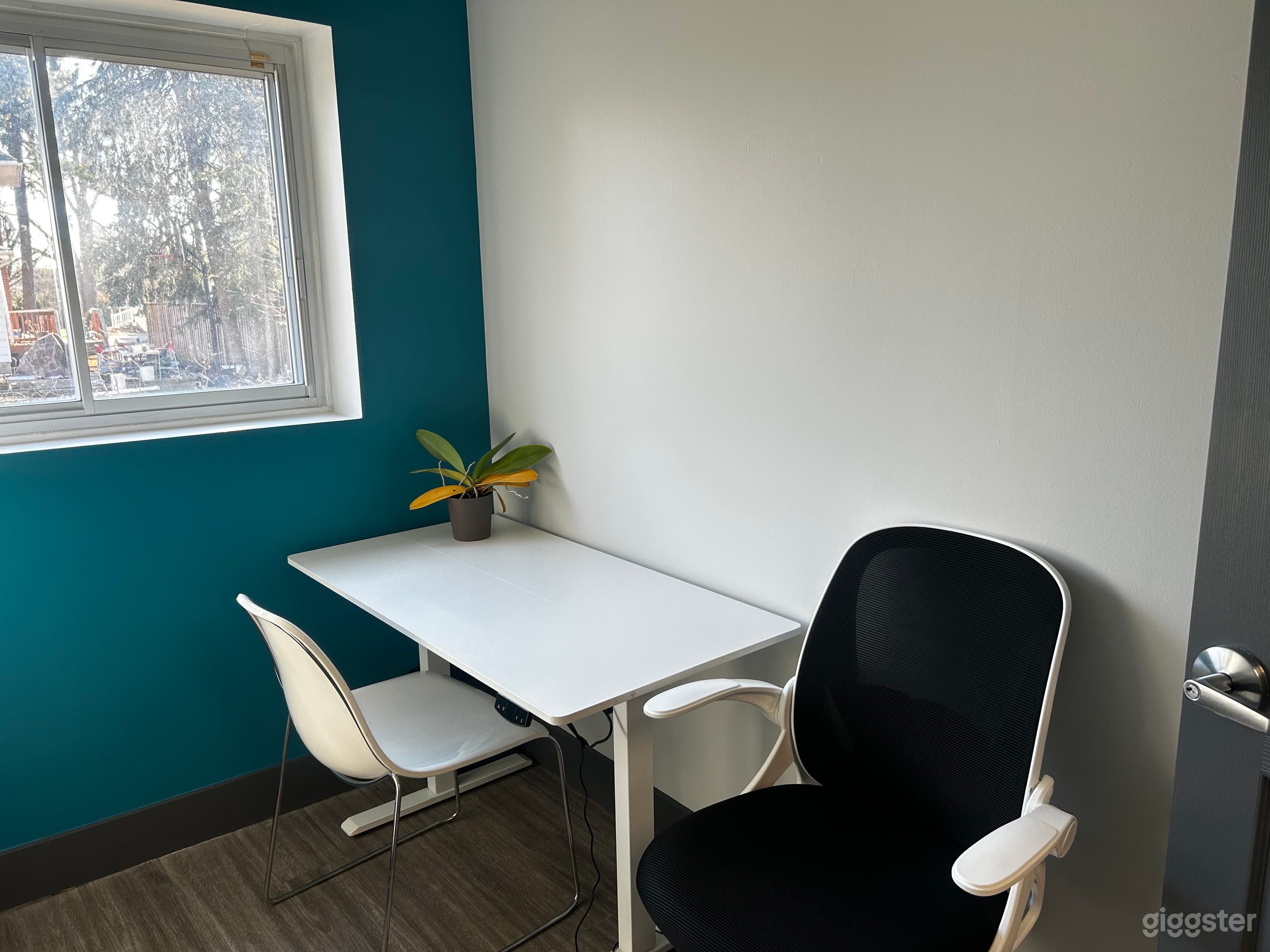Private Office #3 Photo 3